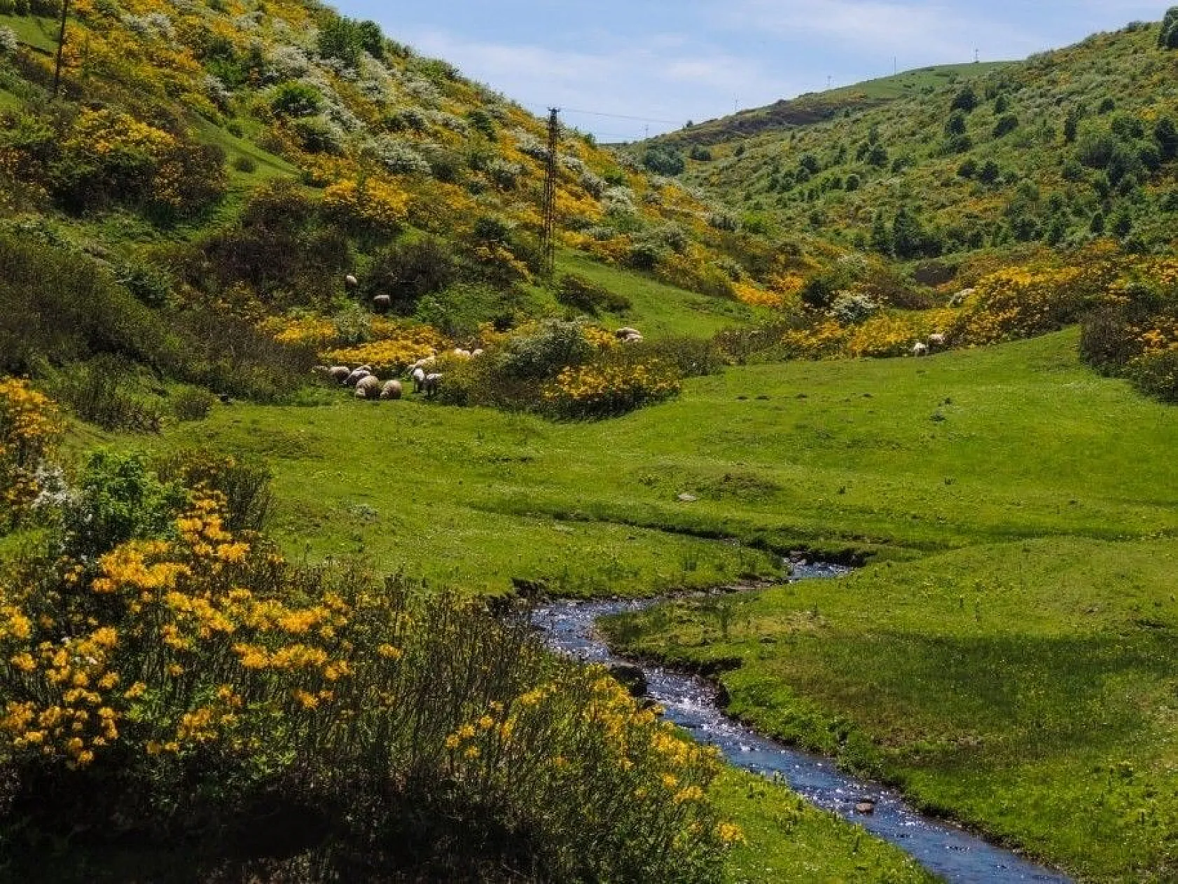 Karadeniz yaylalarından kartpostallık görüntüler
