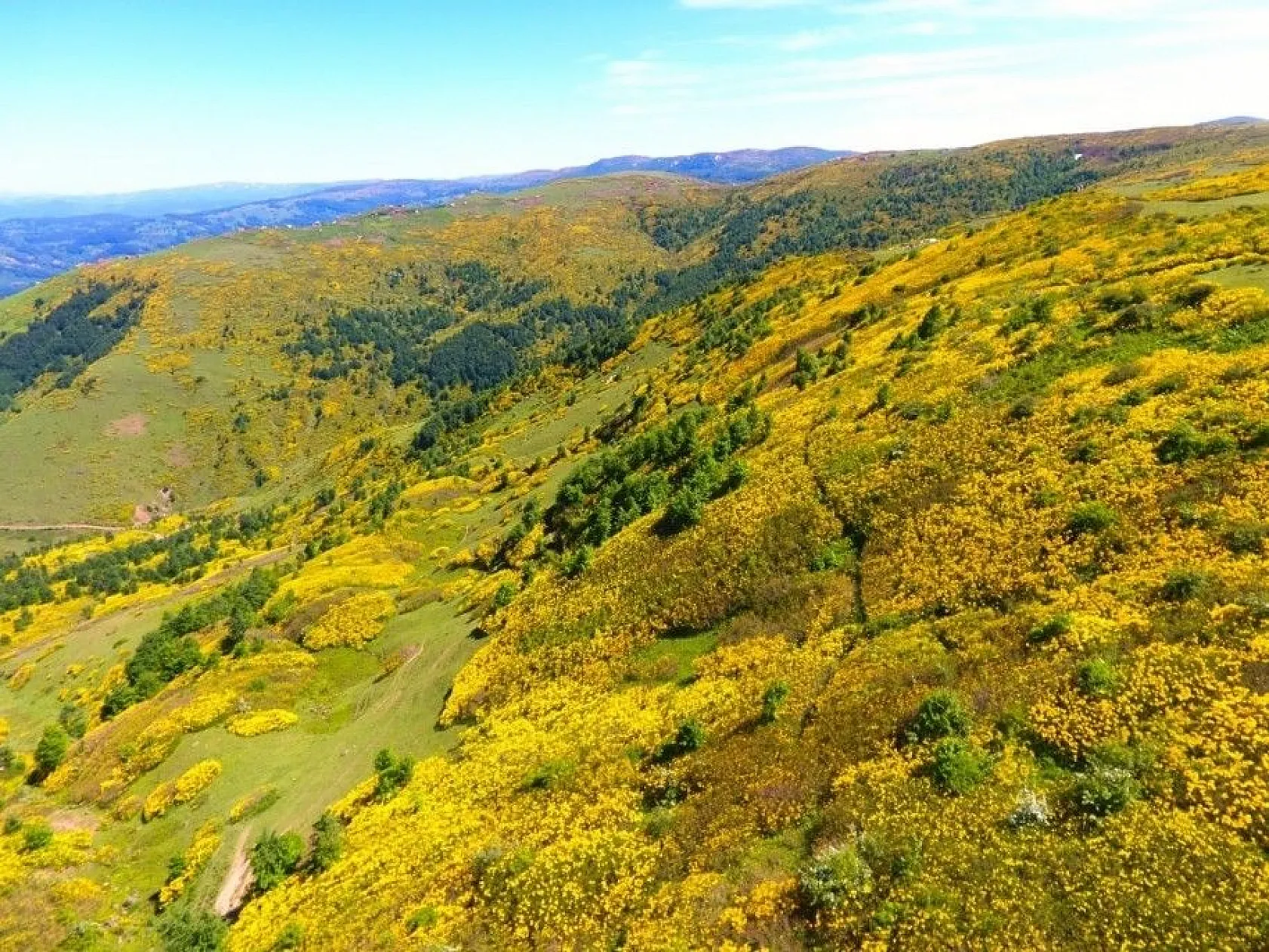 Karadeniz yaylalarından kartpostallık görüntüler