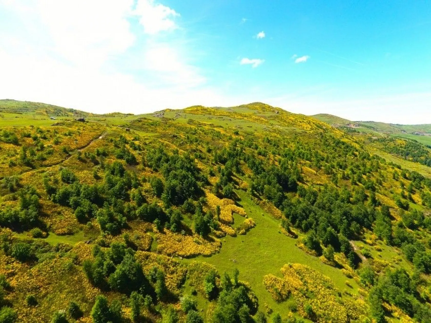 Karadeniz yaylalarından kartpostallık görüntüler