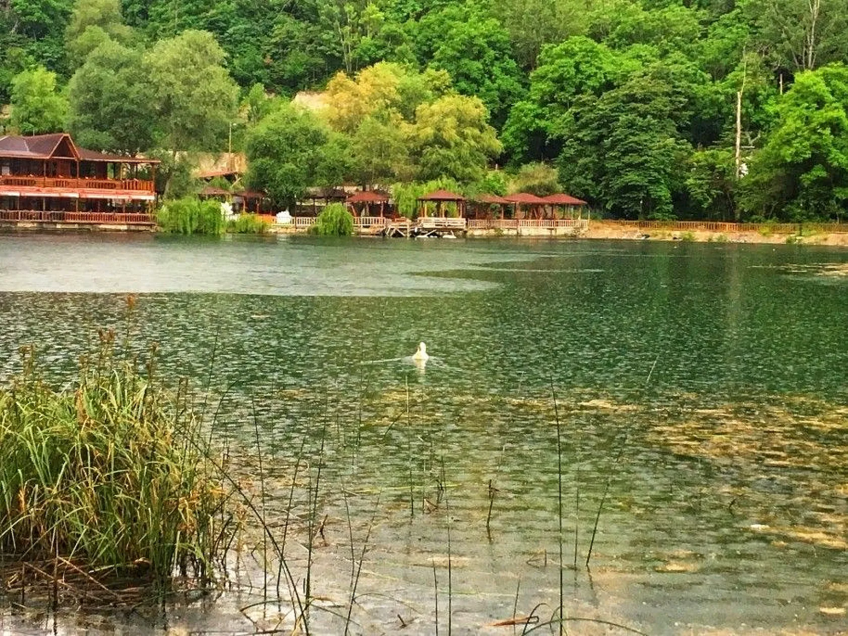 Doğa harikası 'Yedigöller' eşsiz manzarasıyla göz kamaştırıyor