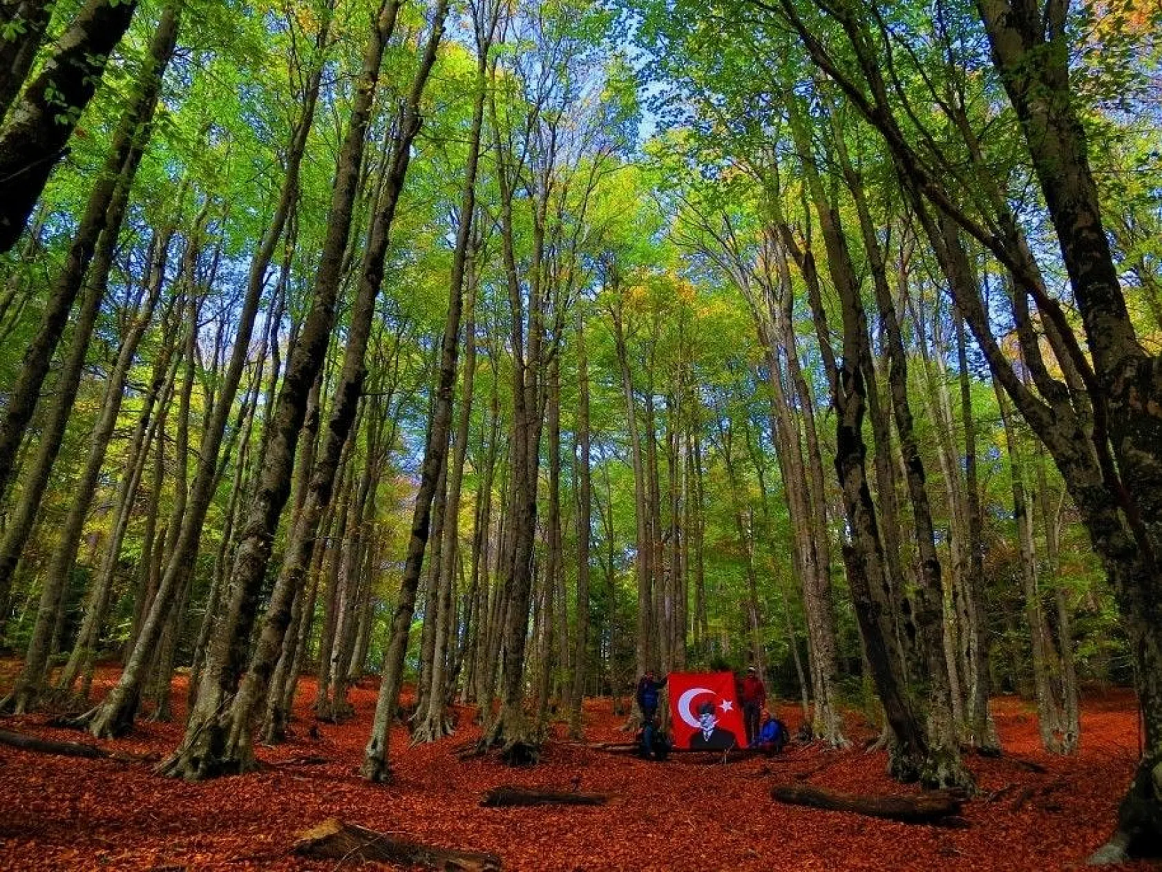 Kazdağları her mevsim başka renk giyiniyor