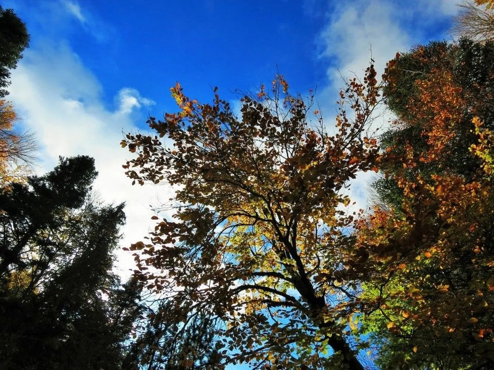 Kazdağları her mevsim başka renk giyiniyor