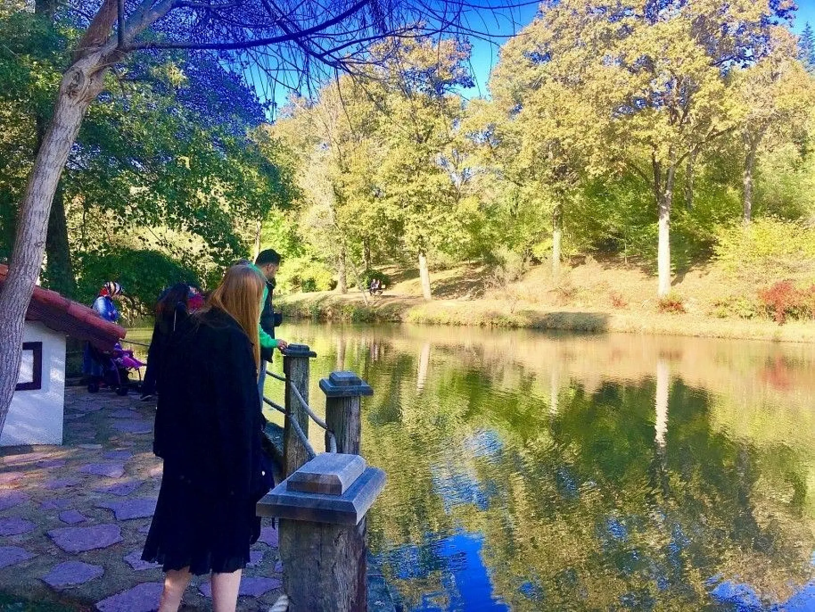 Atatürk Arboretumu'nda sonbahar manzaraları havadan görüntülendi