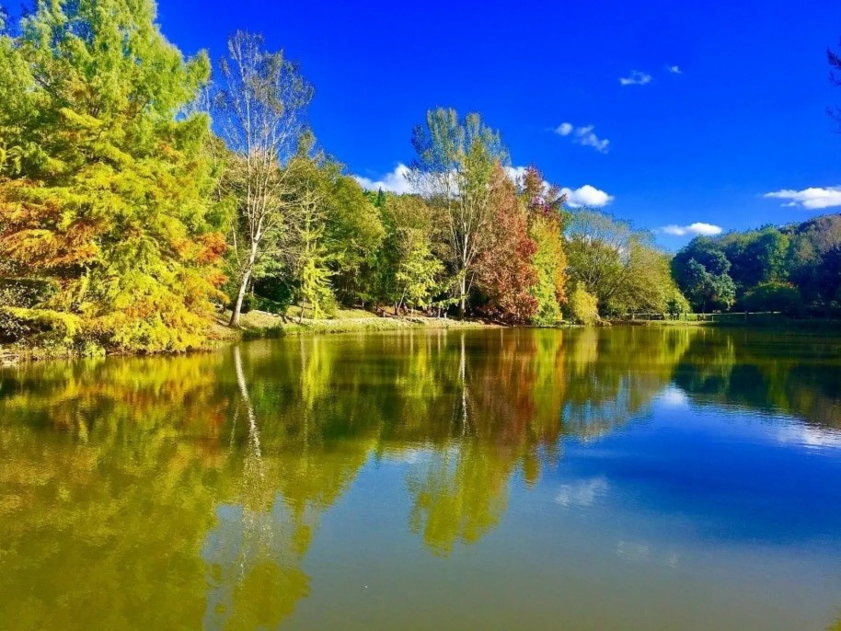 Atatürk Arboretumu'nda sonbahar manzaraları havadan görüntülendi