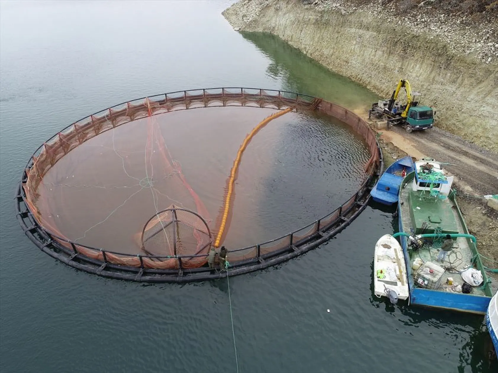 'Türk somonu' 36 ülkeye ihraç ediliyor