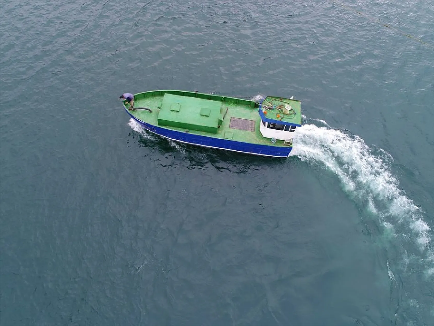 'Türk somonu' 36 ülkeye ihraç ediliyor