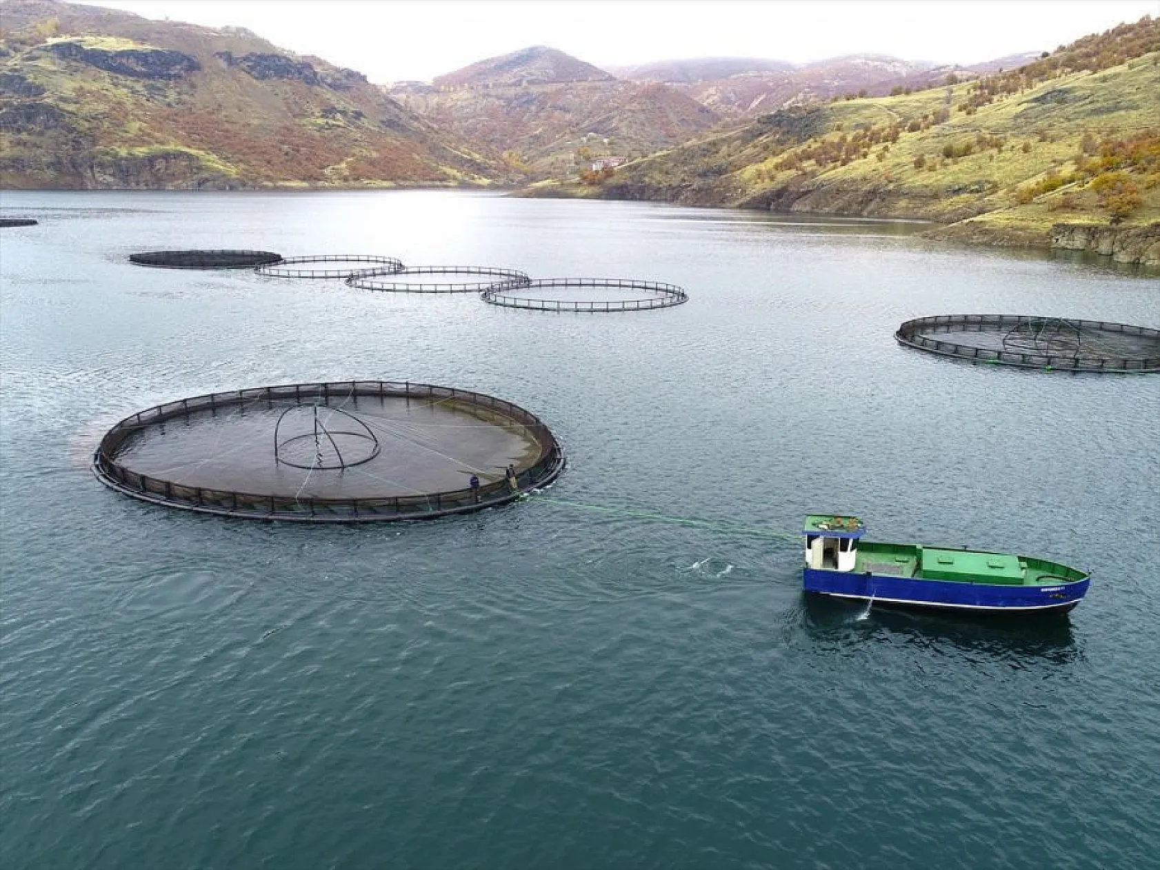 'Türk somonu' 36 ülkeye ihraç ediliyor