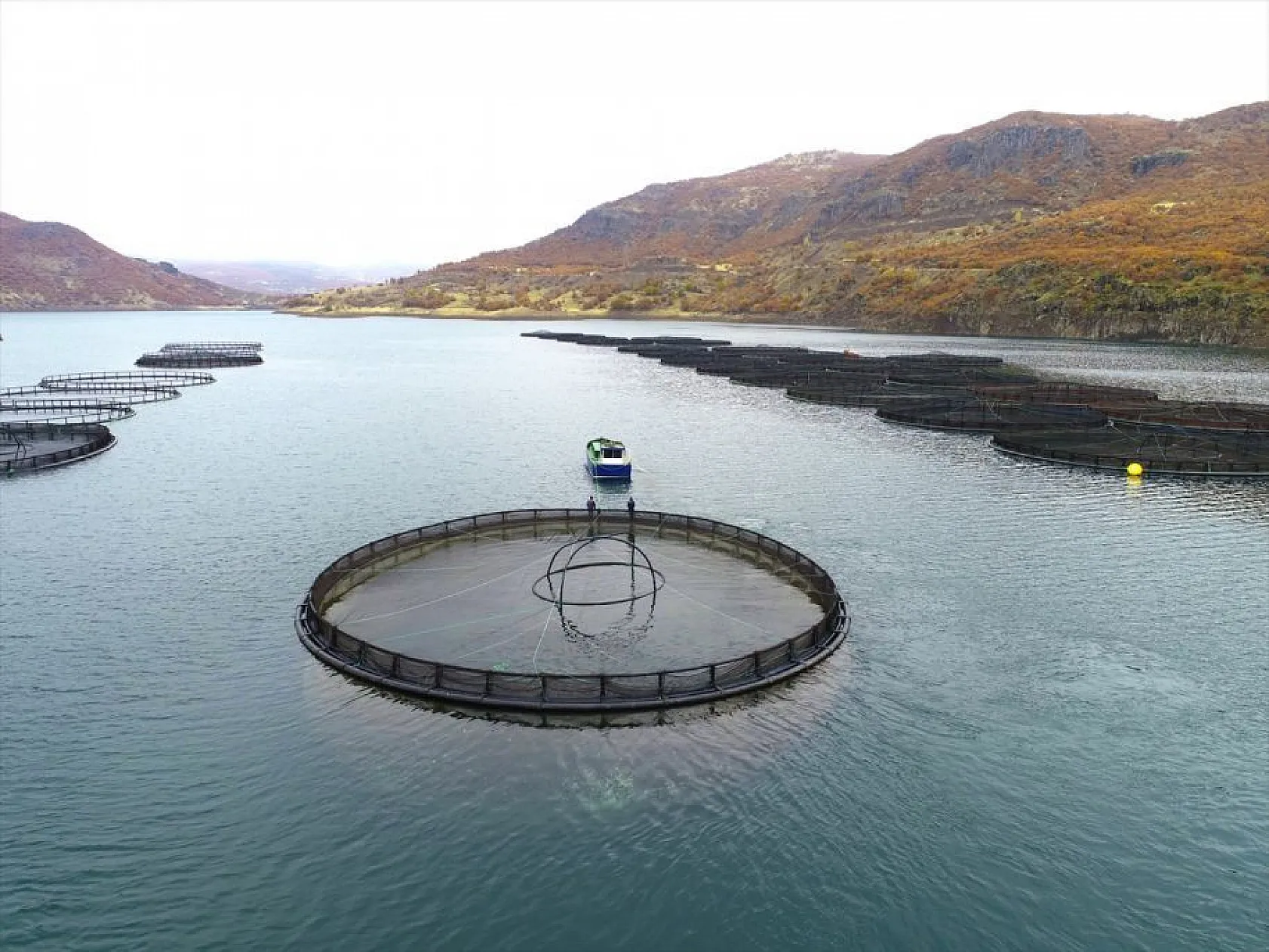 'Türk somonu' 36 ülkeye ihraç ediliyor