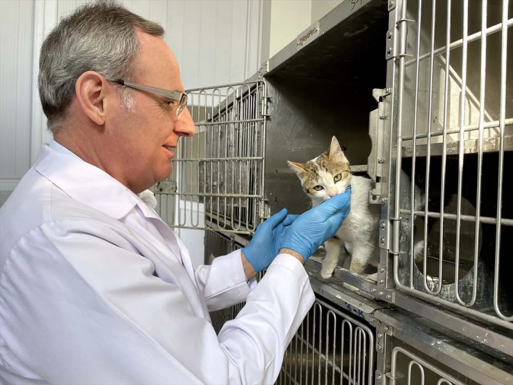 Depremzede hayvanlar Elazığ'da tedavi ediliyor