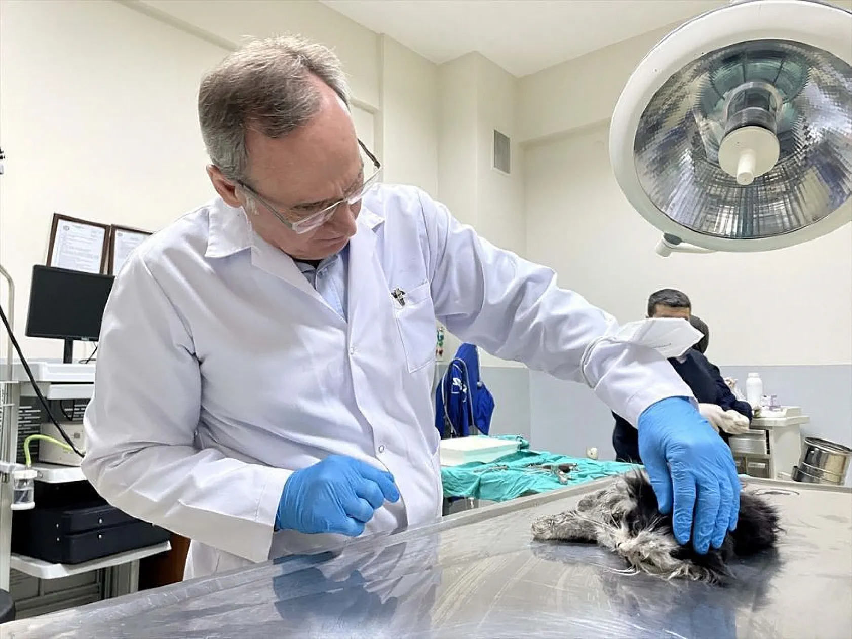 Depremzede hayvanlar Elazığ'da tedavi ediliyor