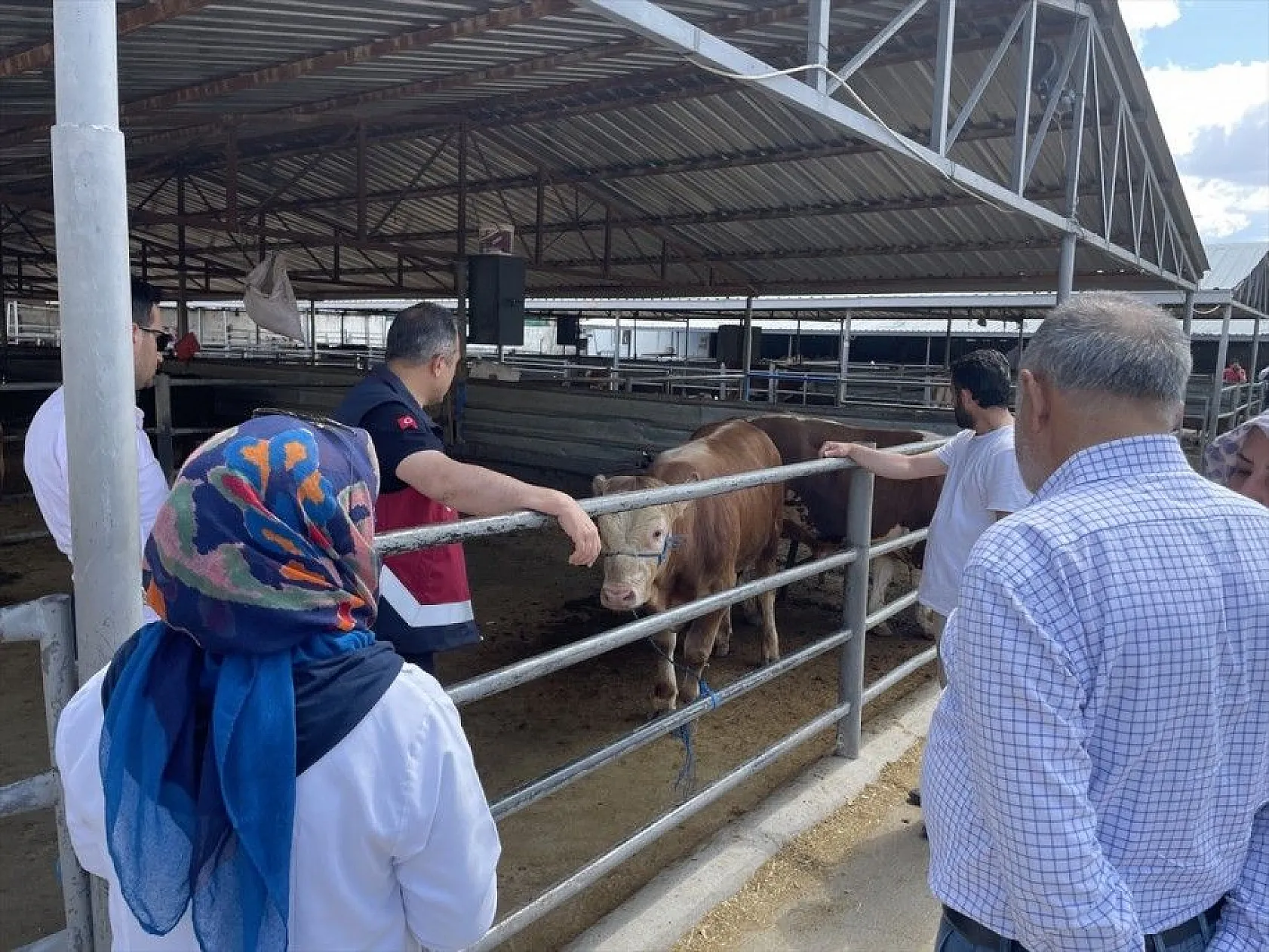 Kurbanlıklar hayvan pazarında satışa çıktı