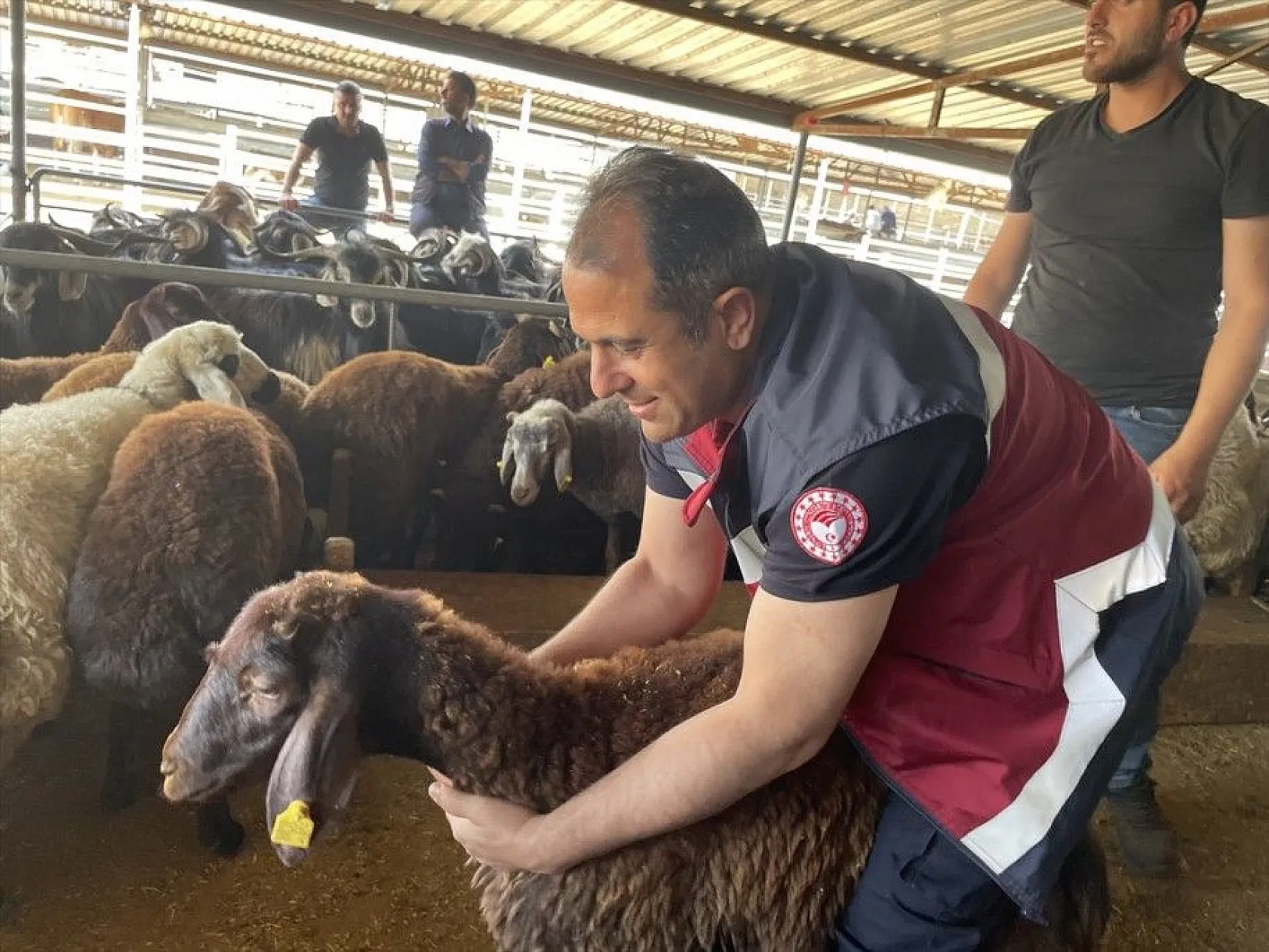 Kurbanlıklar hayvan pazarında satışa çıktı