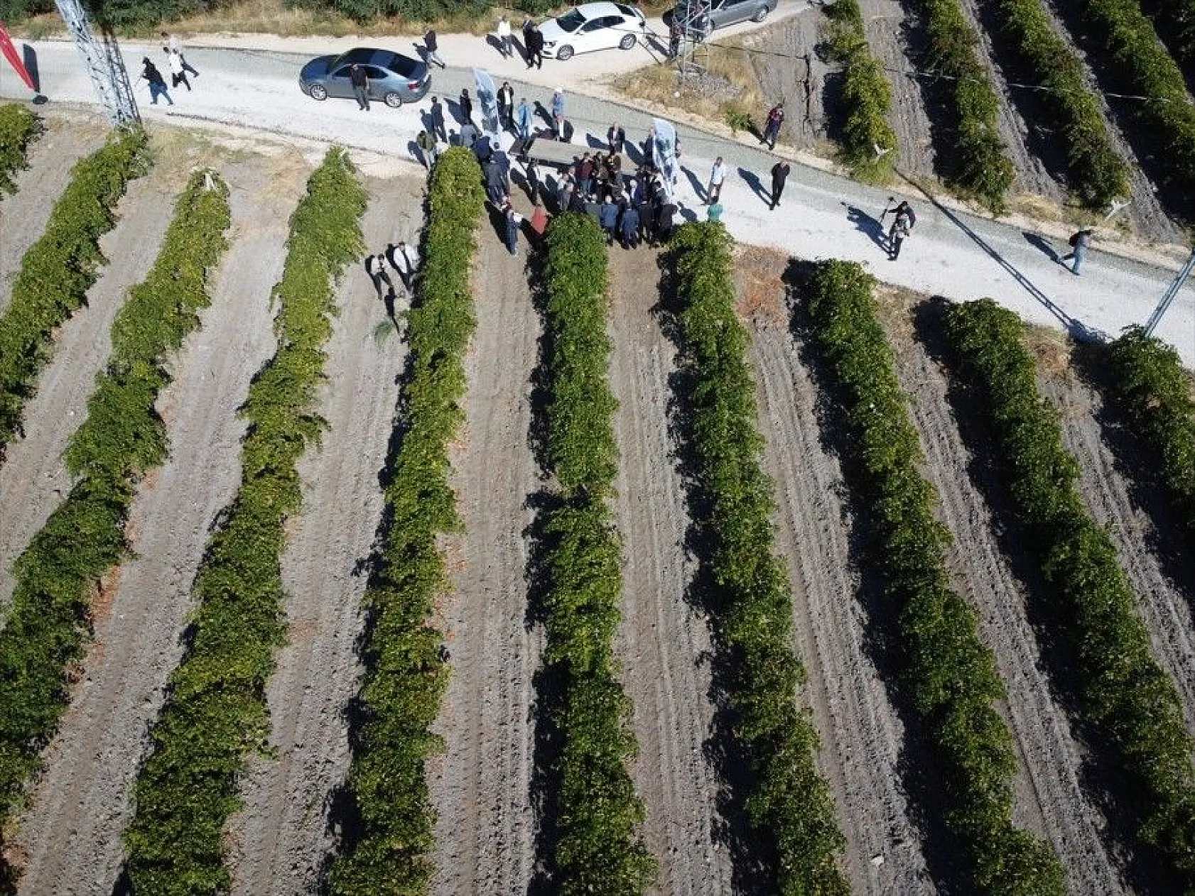 '17. Geleneksel Üzüm Festivali ve Bağ Bozumu' etkinliği yapıldı