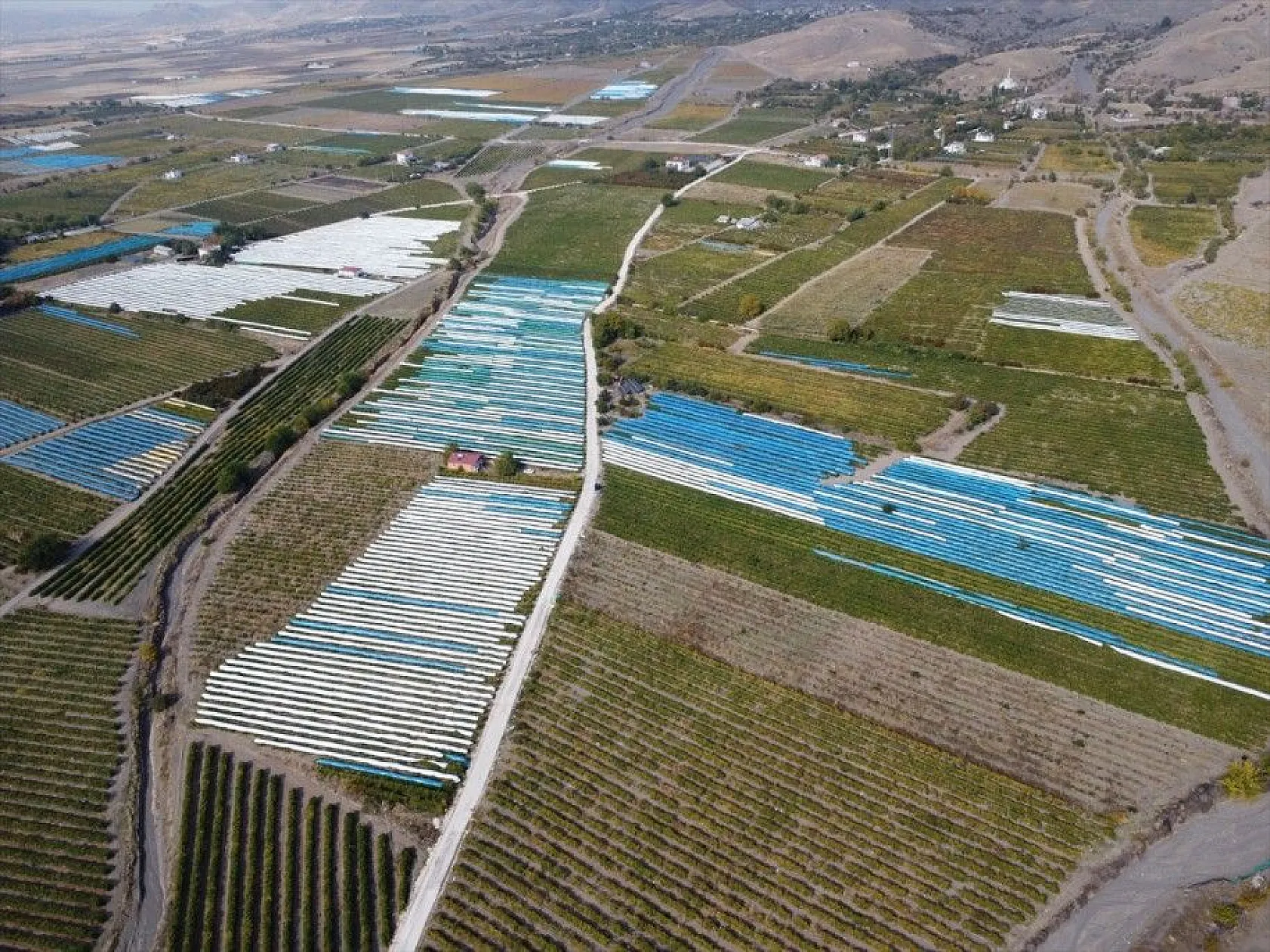 Elazığ'da üzüm bağları mavi beyaz örtüyle kaplandı
