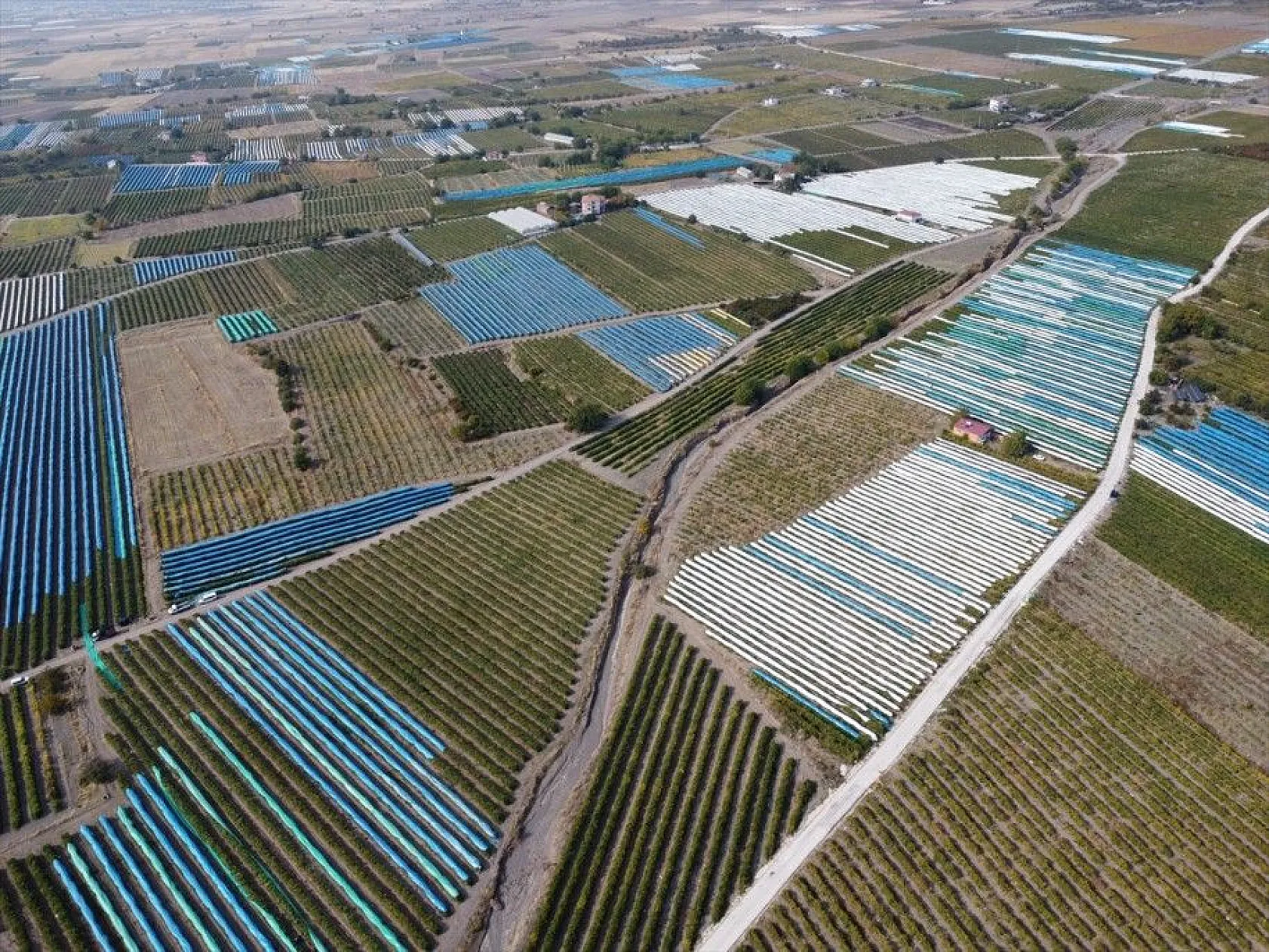 Elazığ'da üzüm bağları mavi beyaz örtüyle kaplandı