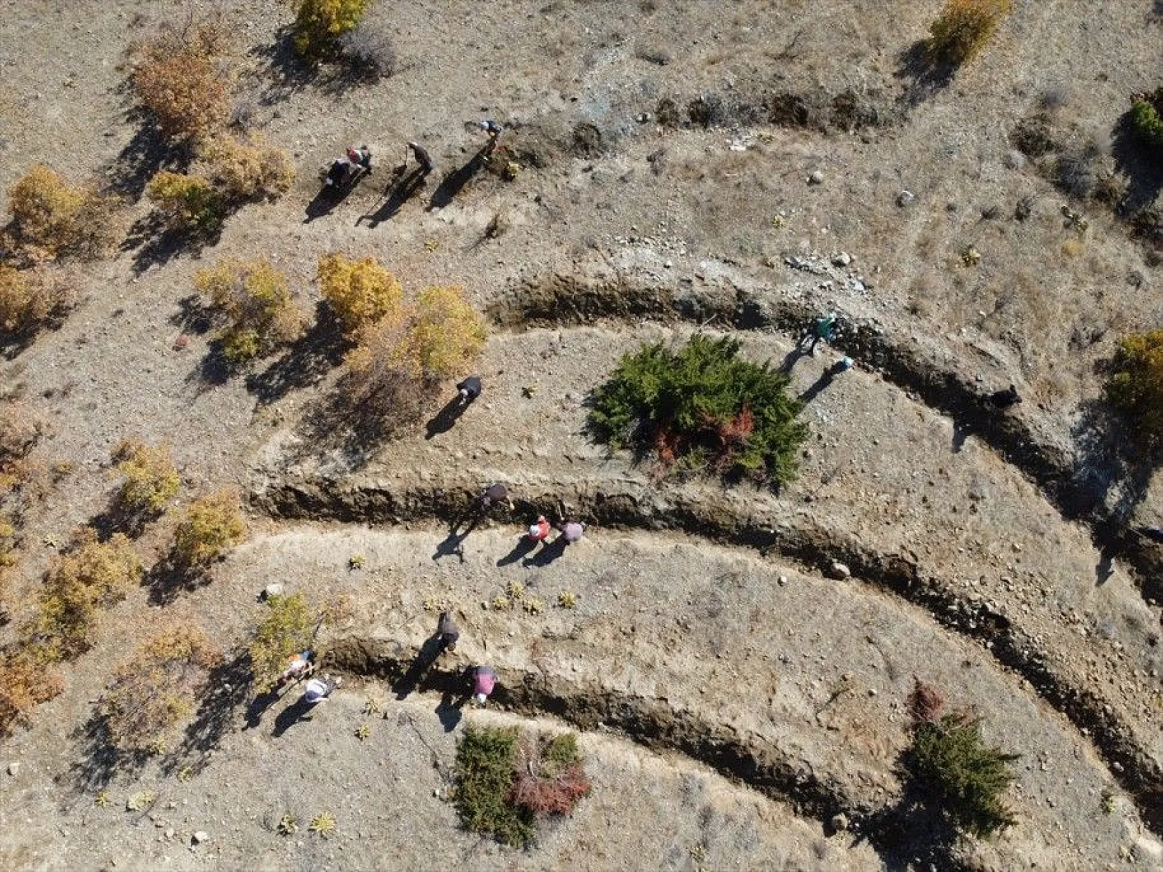 Doğu'da bozkıra dikilen milyonlarca fidan 'geleceğe nefes' olacak