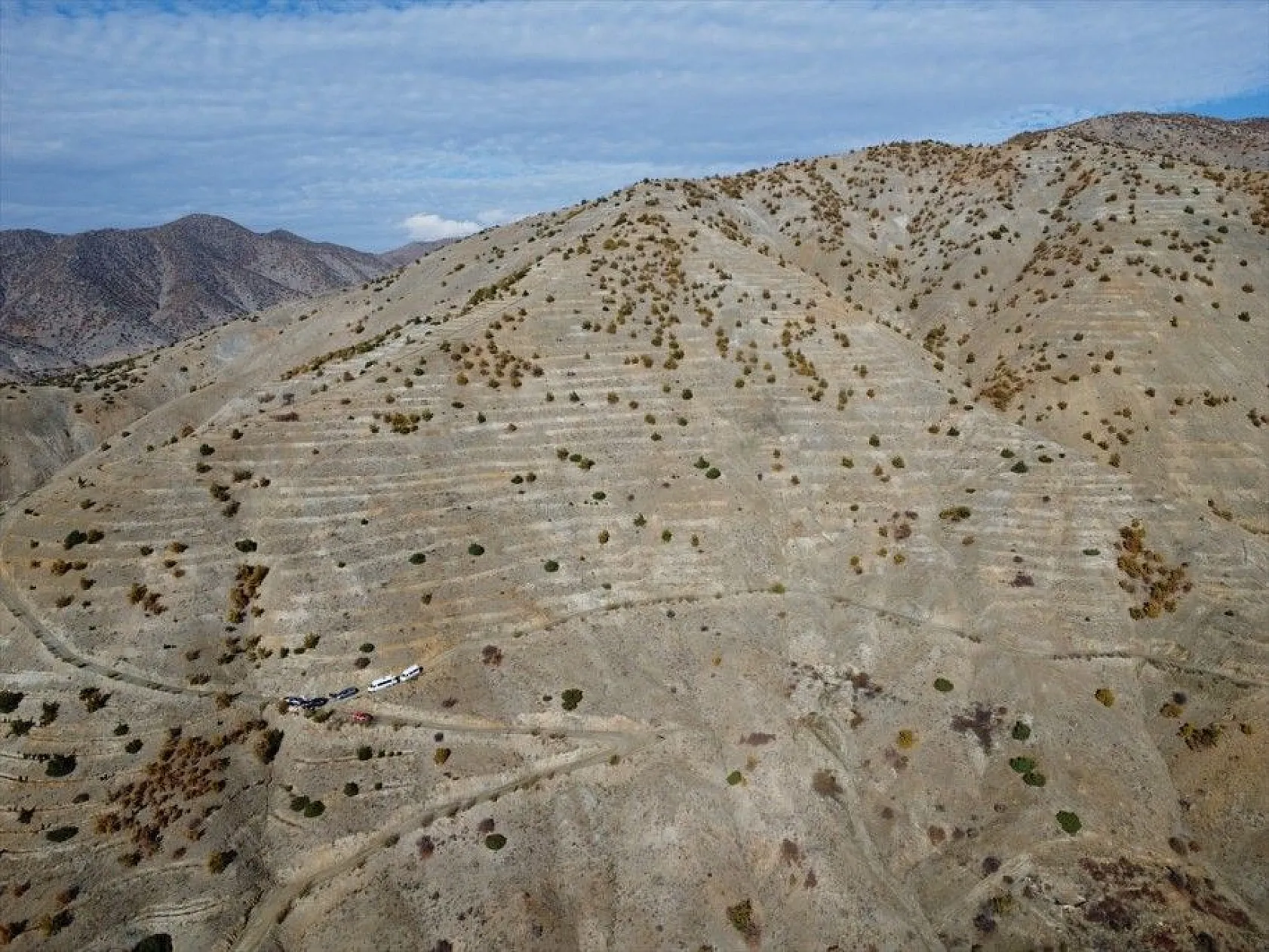 Doğu'da bozkıra dikilen milyonlarca fidan 'geleceğe nefes' olacak