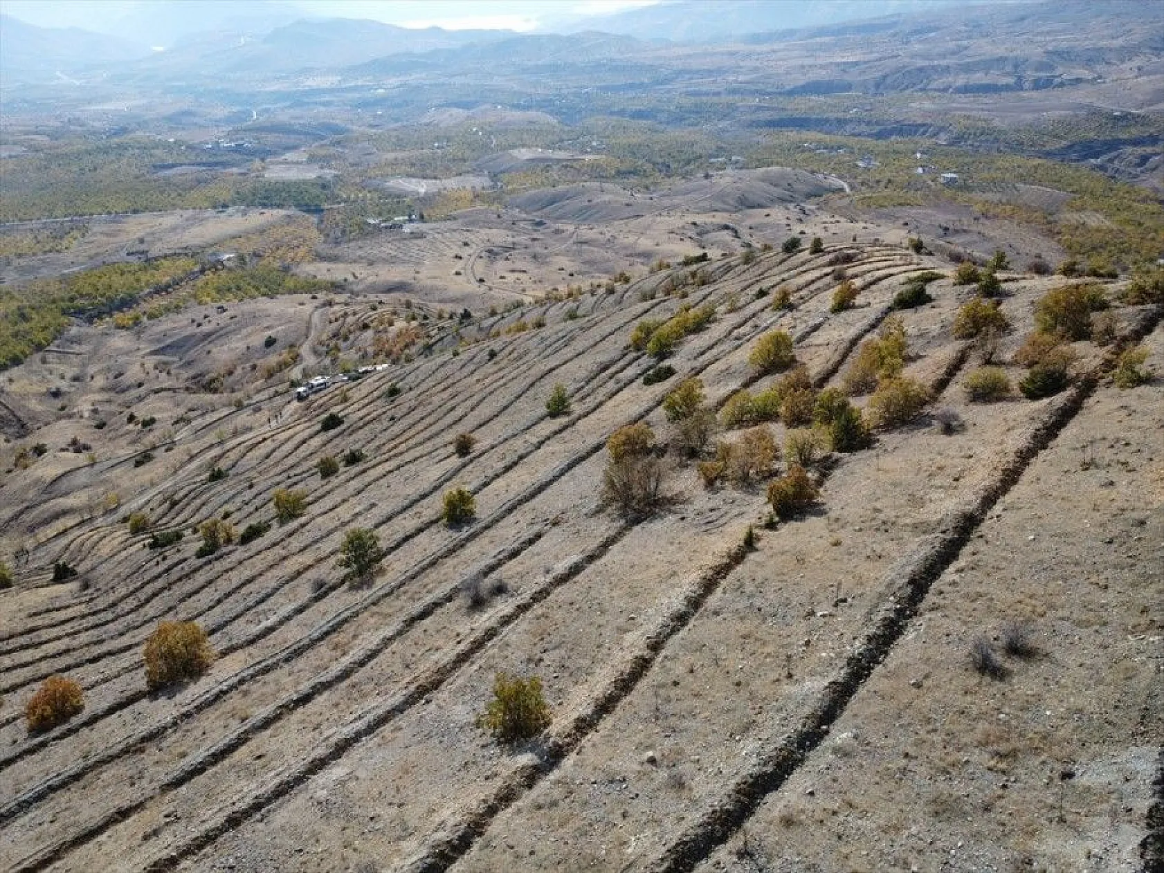 Doğu'da bozkıra dikilen milyonlarca fidan 'geleceğe nefes' olacak