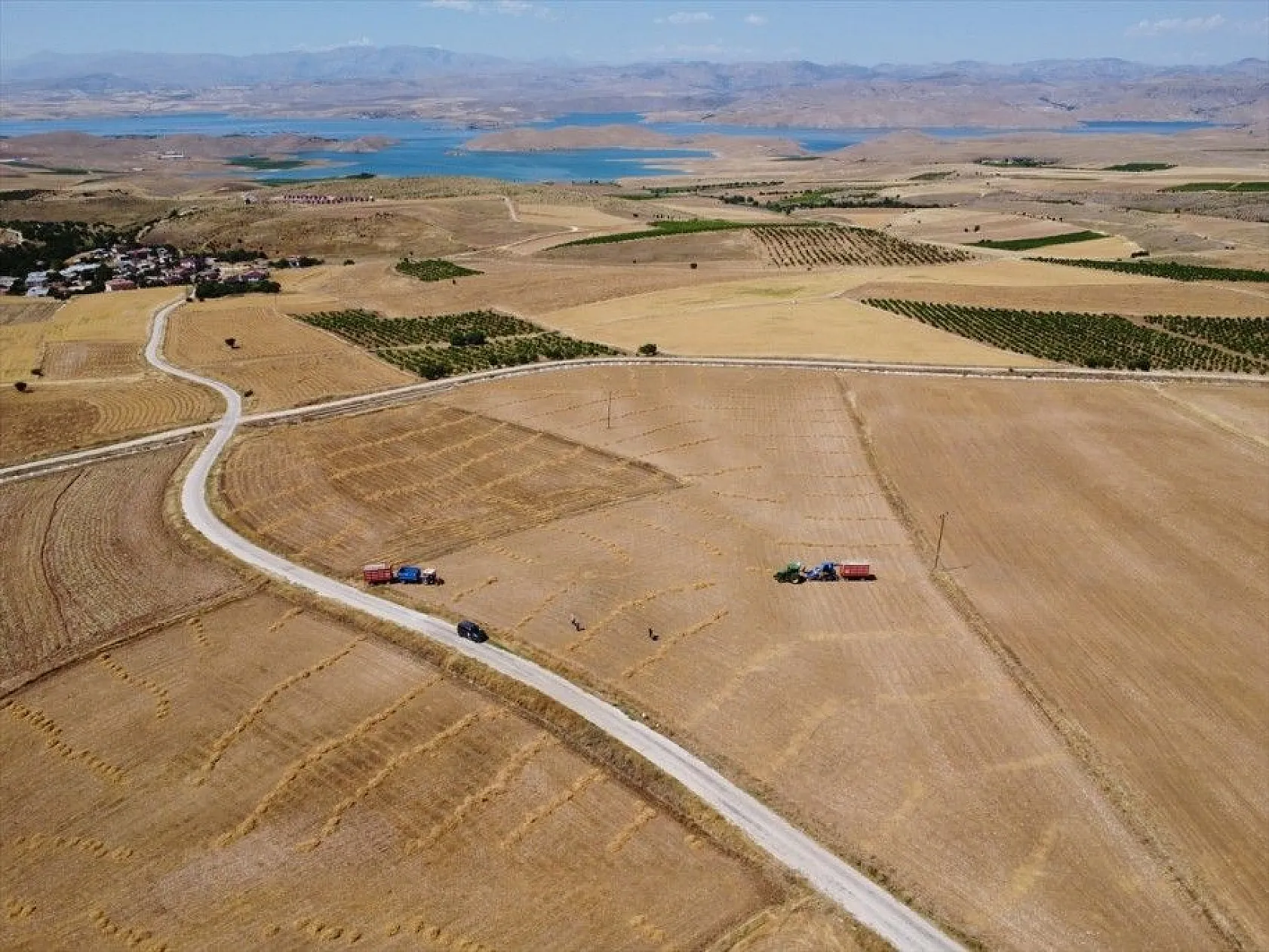 Elazığ'da kimyasal gübre yerine bakteri kullanan üreticiler mercimekte verimi artırdı