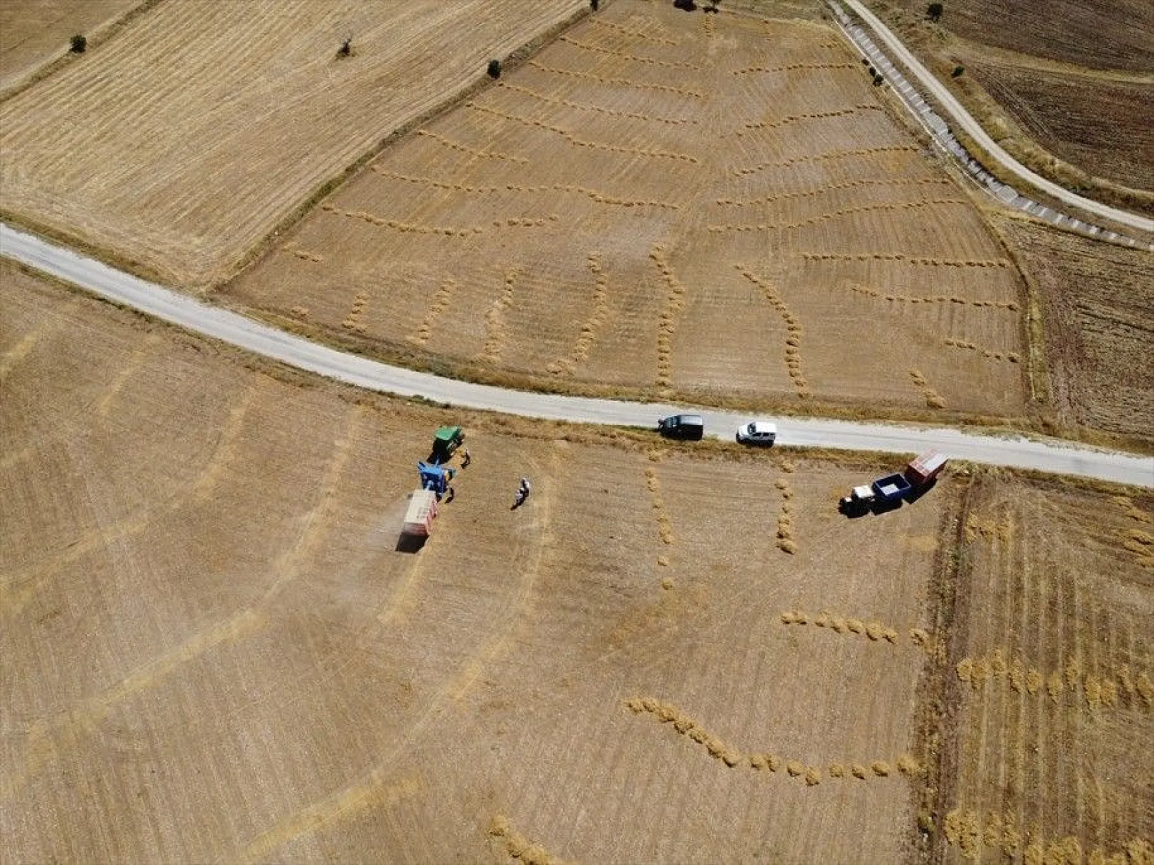 Elazığ'da kimyasal gübre yerine bakteri kullanan üreticiler mercimekte verimi artırdı