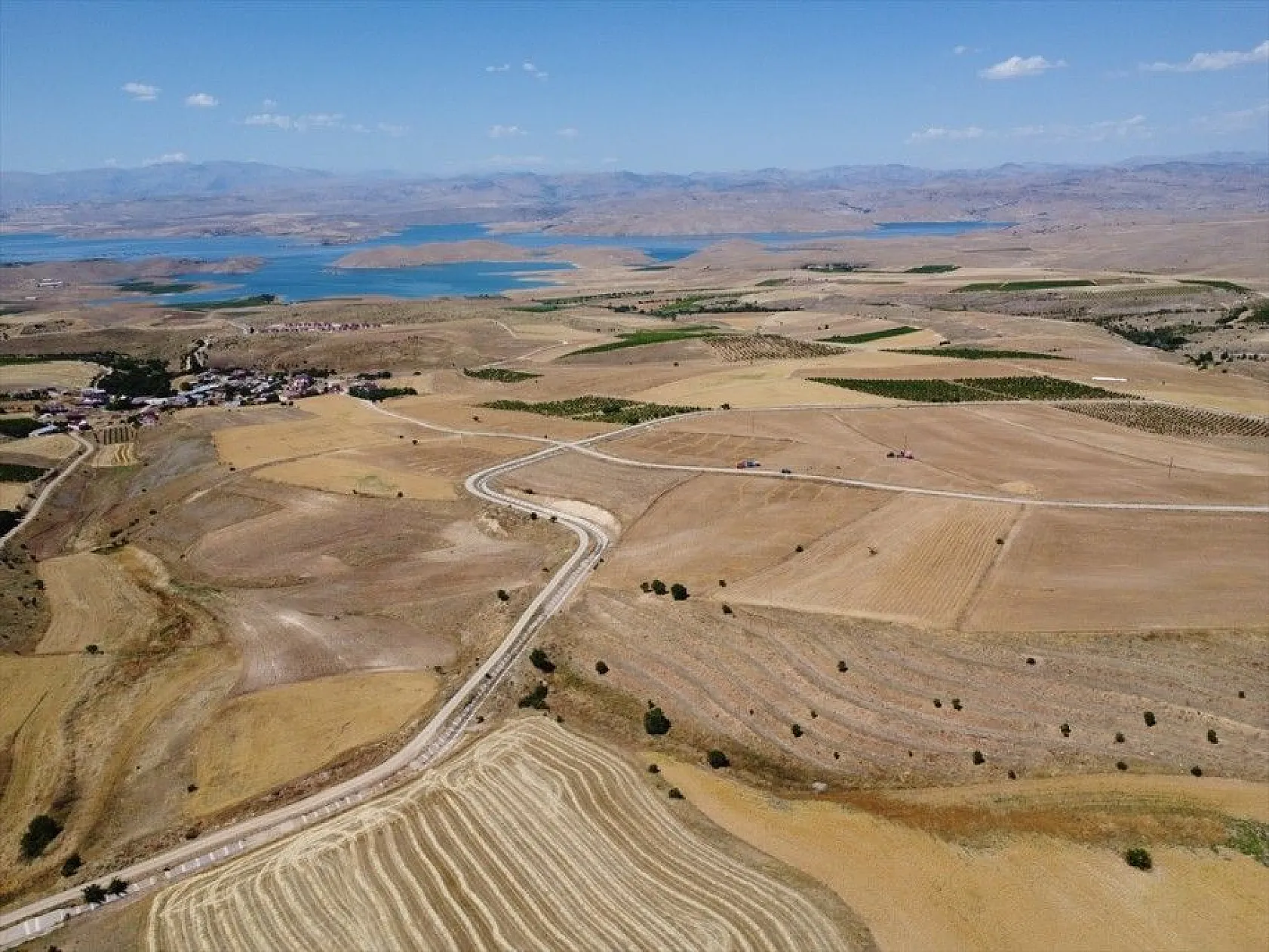 Elazığ'da kimyasal gübre yerine bakteri kullanan üreticiler mercimekte verimi artırdı