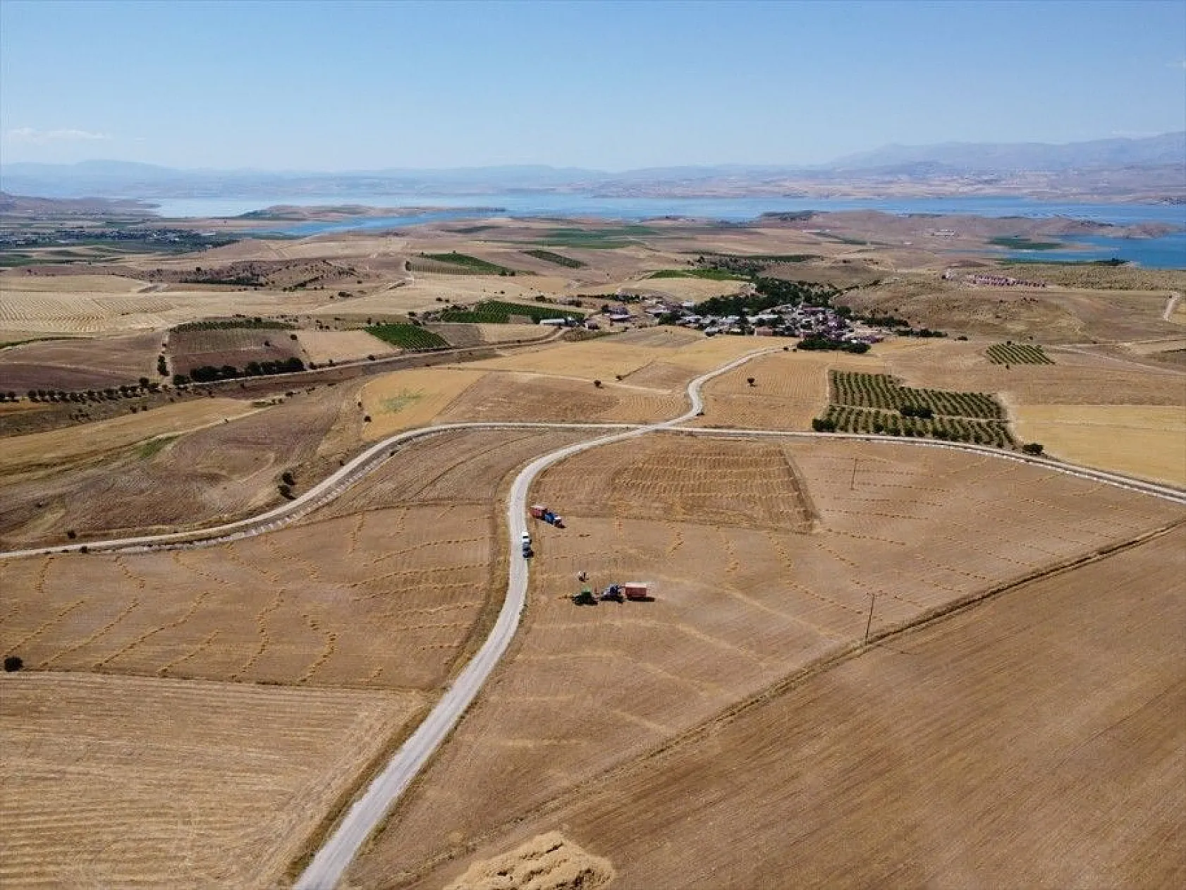 Elazığ'da kimyasal gübre yerine bakteri kullanan üreticiler mercimekte verimi artırdı
