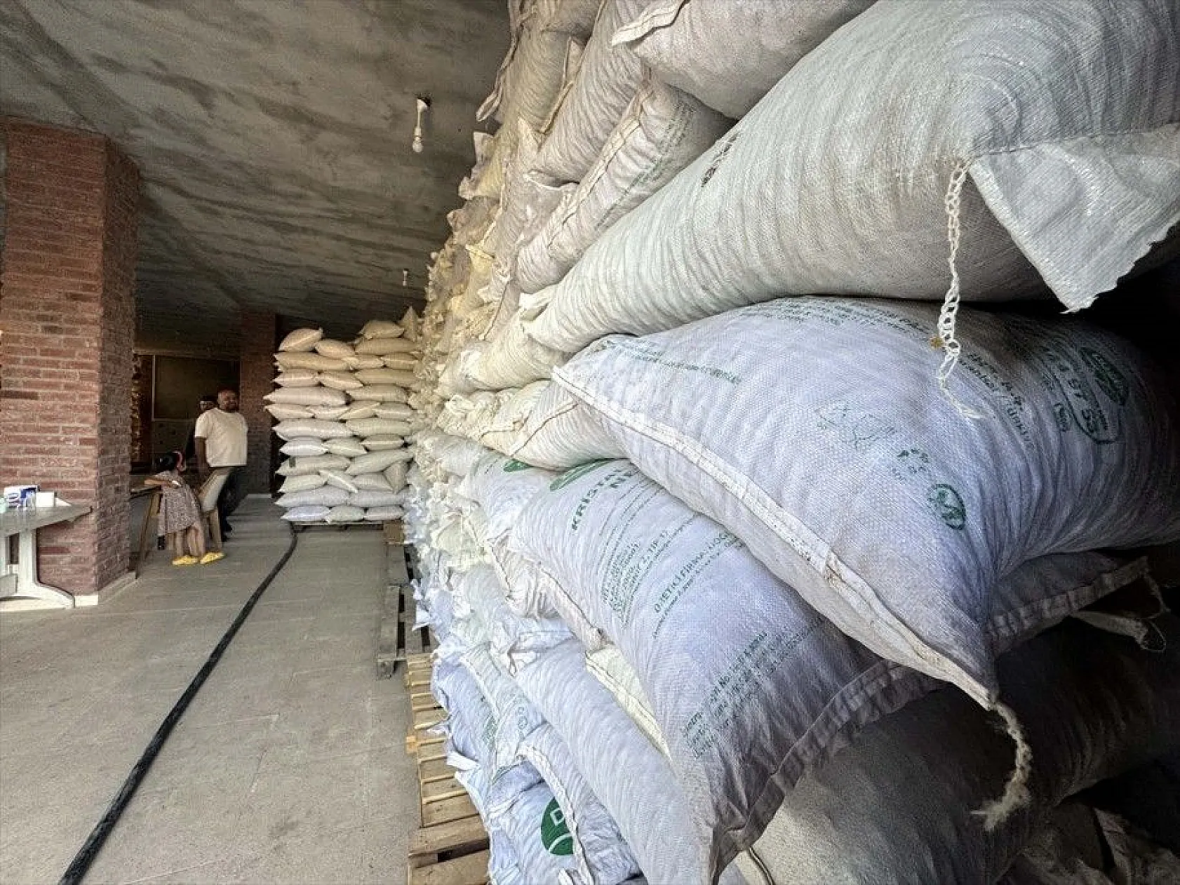 Atıl arazilerin dönüştürüldüğü badem bahçelerinde hasat zamanı