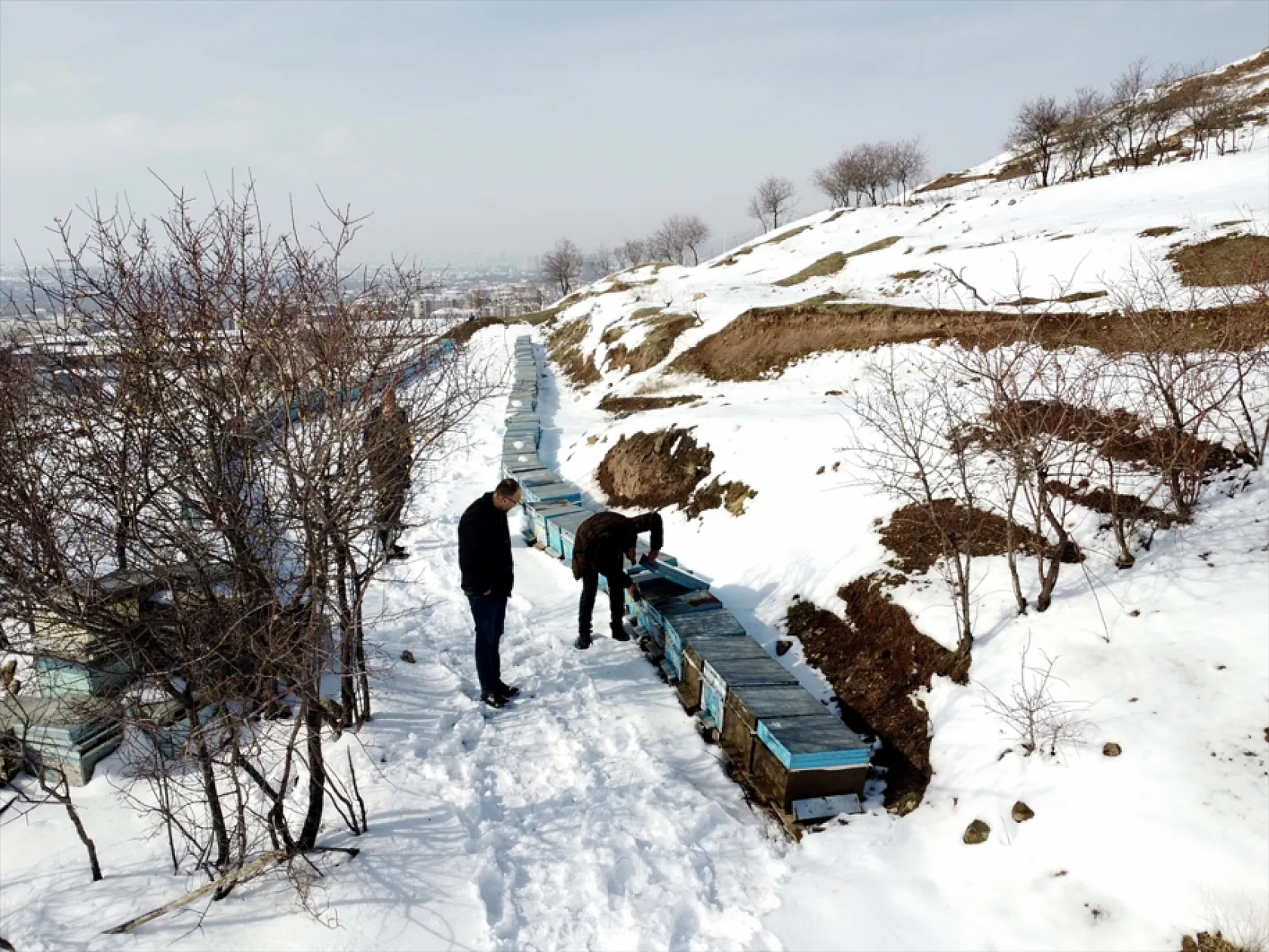 Elazığ'da arıcı ve besiciler devlet desteğiyle nefes aldı