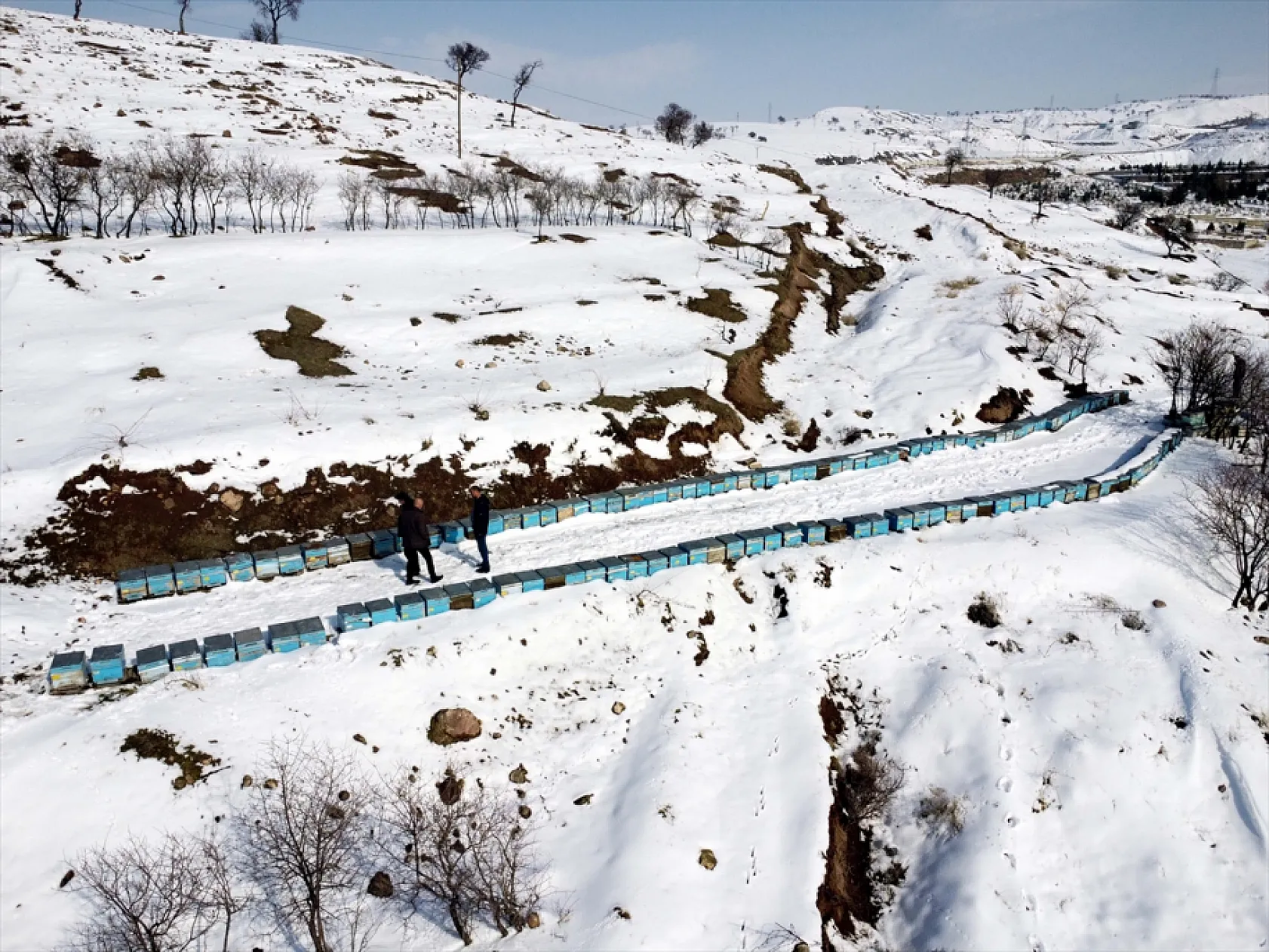 Elazığ'da arıcı ve besiciler devlet desteğiyle nefes aldı
