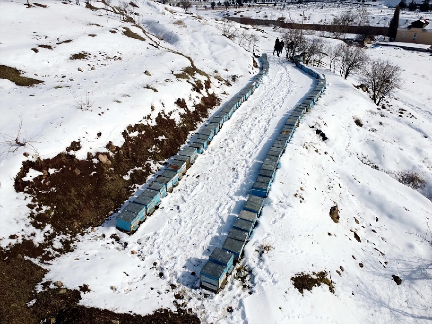 Elazığ'da arıcı ve besiciler devlet desteğiyle nefes aldı