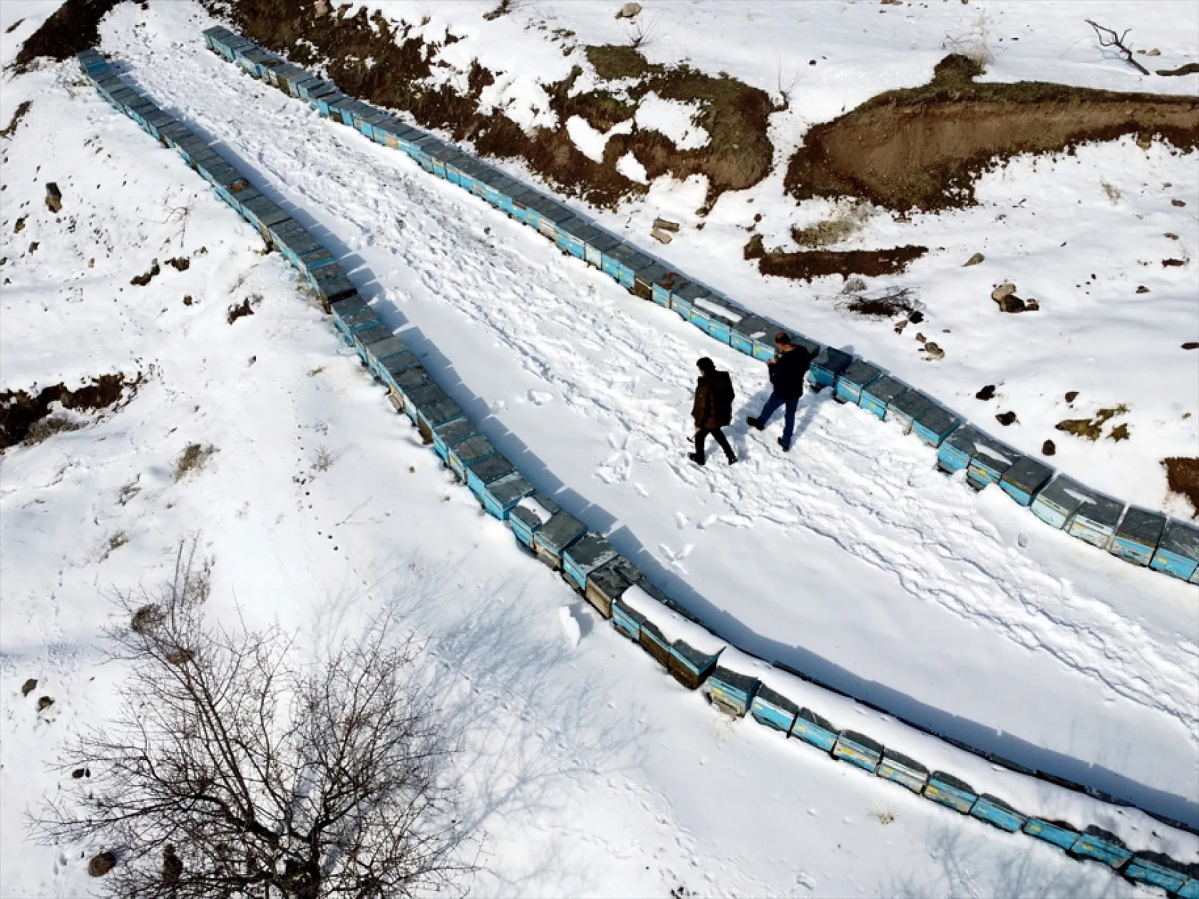 Elazığ'da arıcı ve besiciler devlet desteğiyle nefes aldı