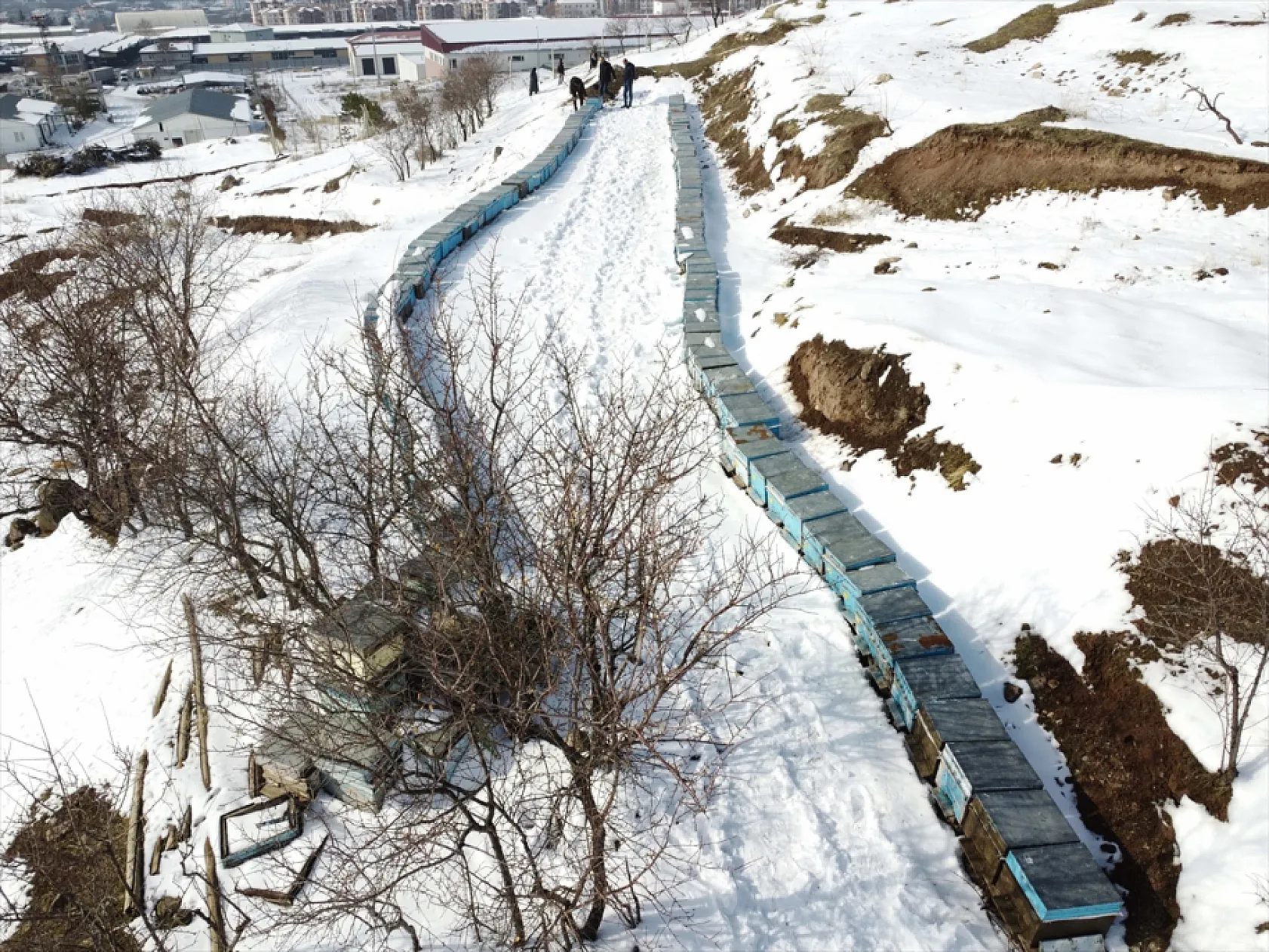 Elazığ'da arıcı ve besiciler devlet desteğiyle nefes aldı