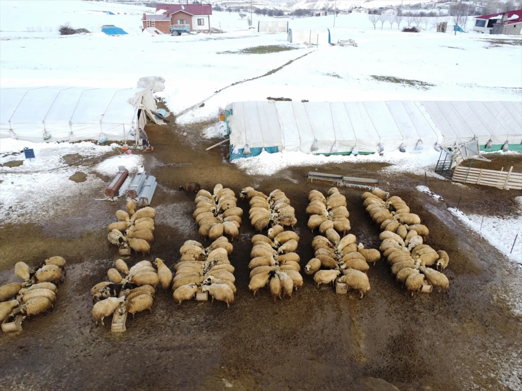 Elazığ'da arıcı ve besiciler devlet desteğiyle nefes aldı