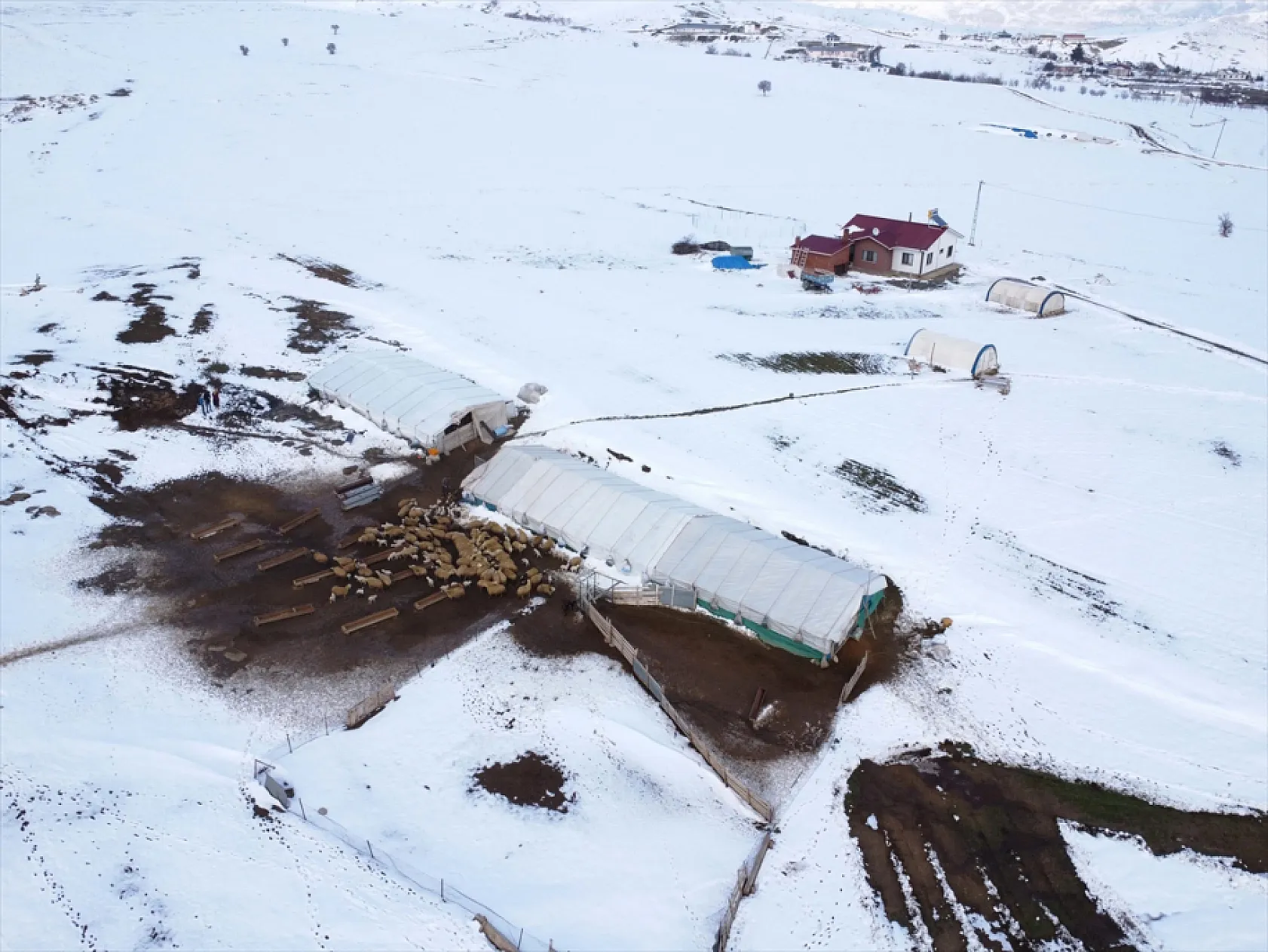 Elazığ'da arıcı ve besiciler devlet desteğiyle nefes aldı