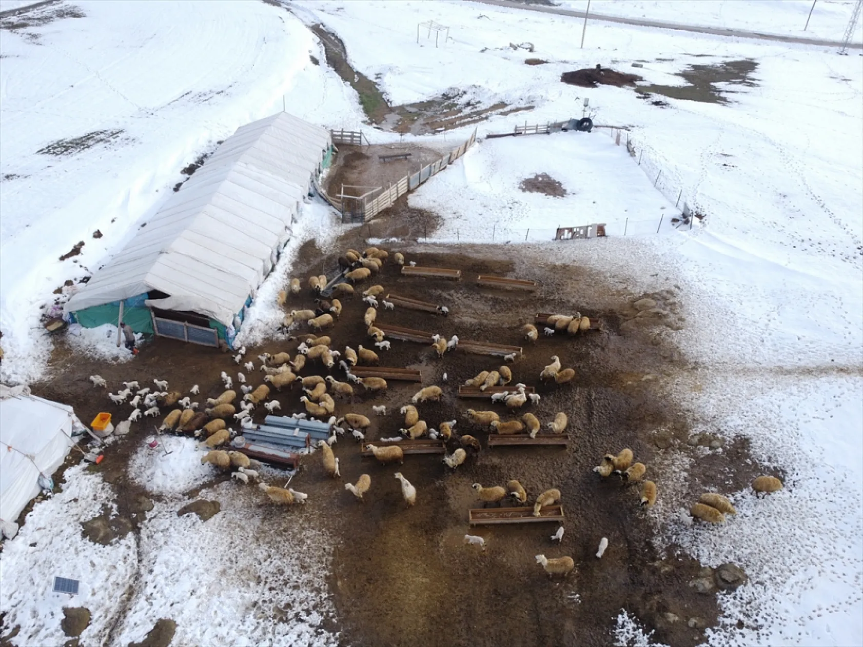 Elazığ'da arıcı ve besiciler devlet desteğiyle nefes aldı