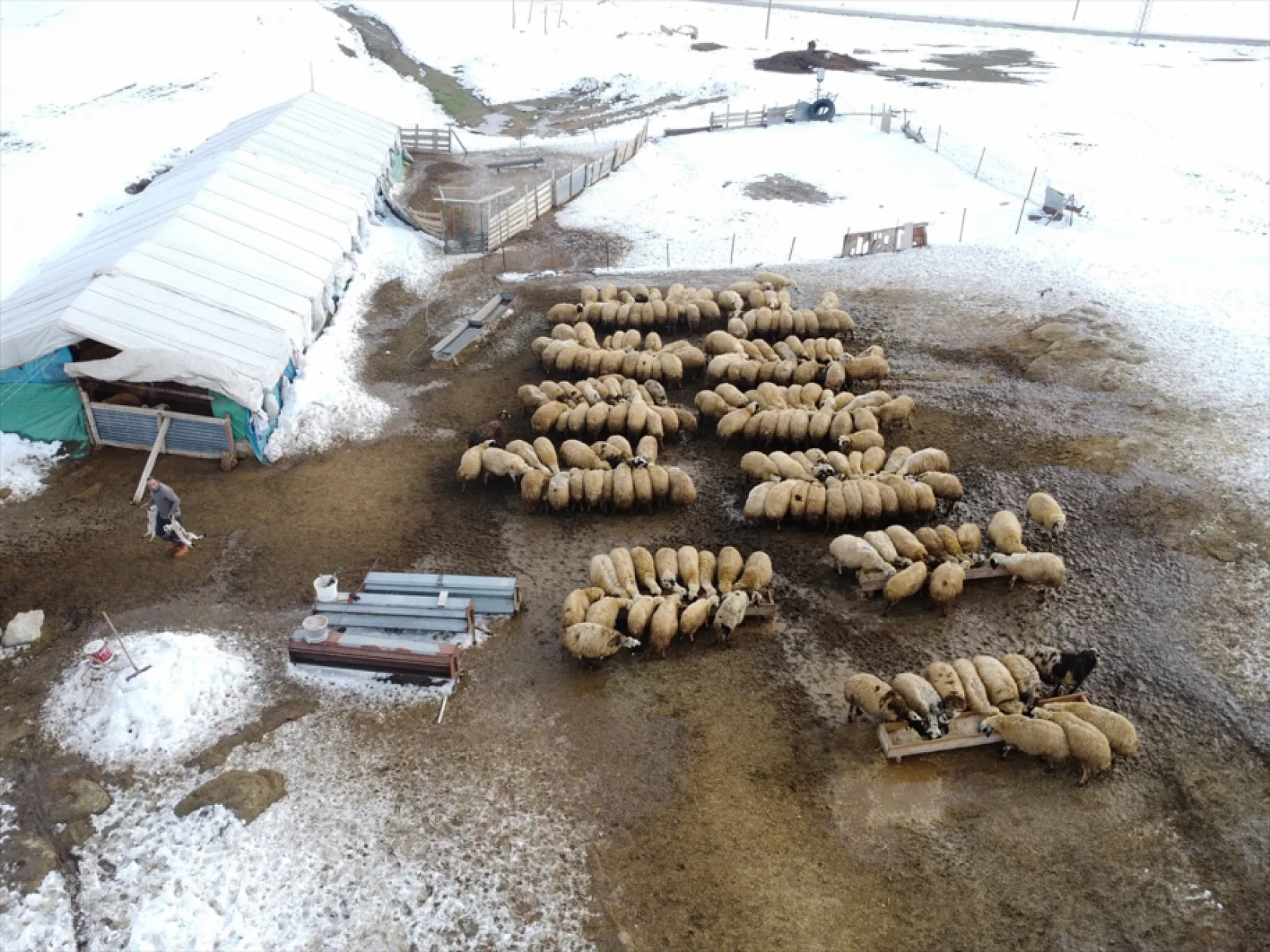 Elazığ'da arıcı ve besiciler devlet desteğiyle nefes aldı