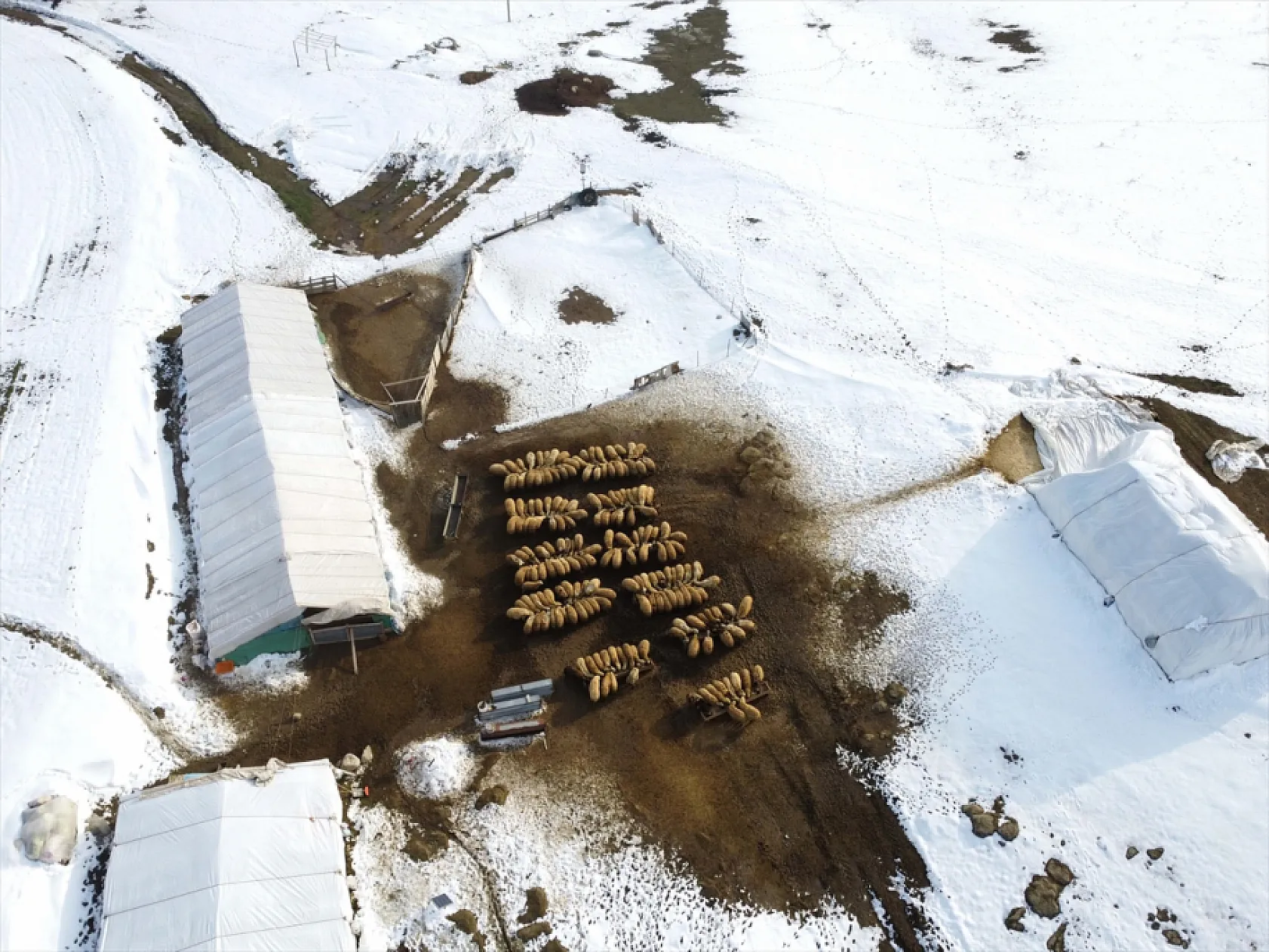 Elazığ'da arıcı ve besiciler devlet desteğiyle nefes aldı