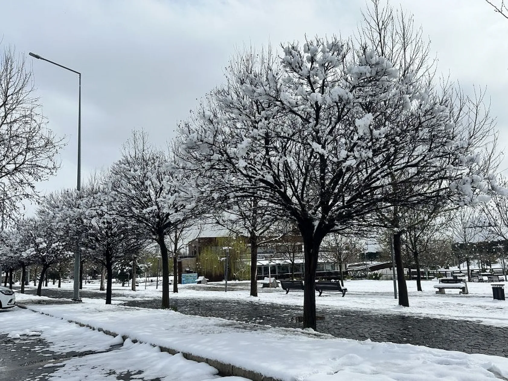 Elazığ'da gece boyunca kar yağdı