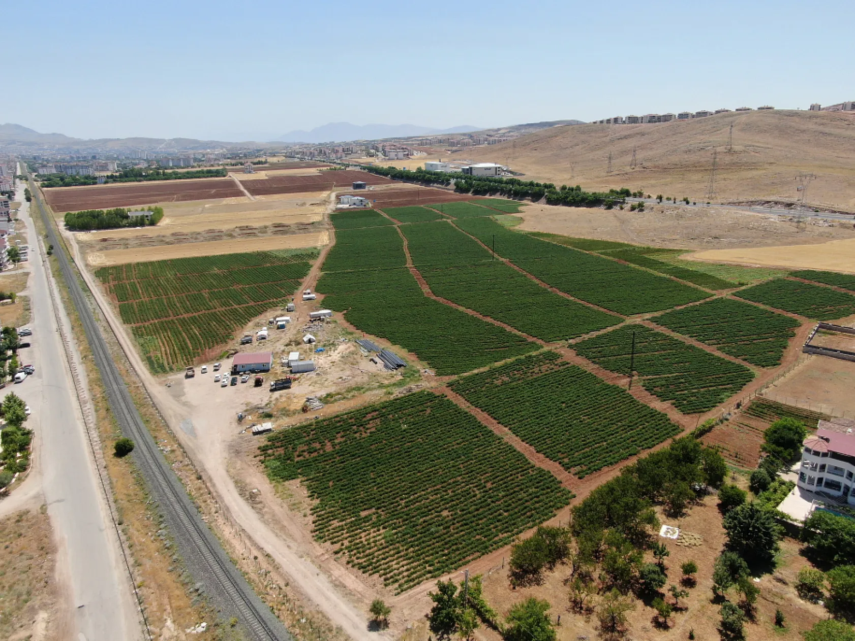 Elazığ'da sebze yarı fiyatına