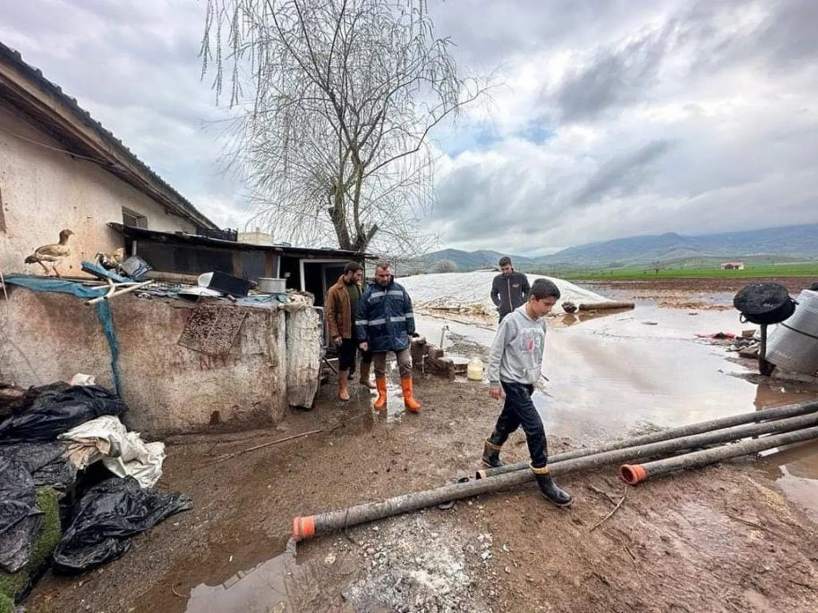 Elazığ'da tarım arazileri sular altında kaldı!