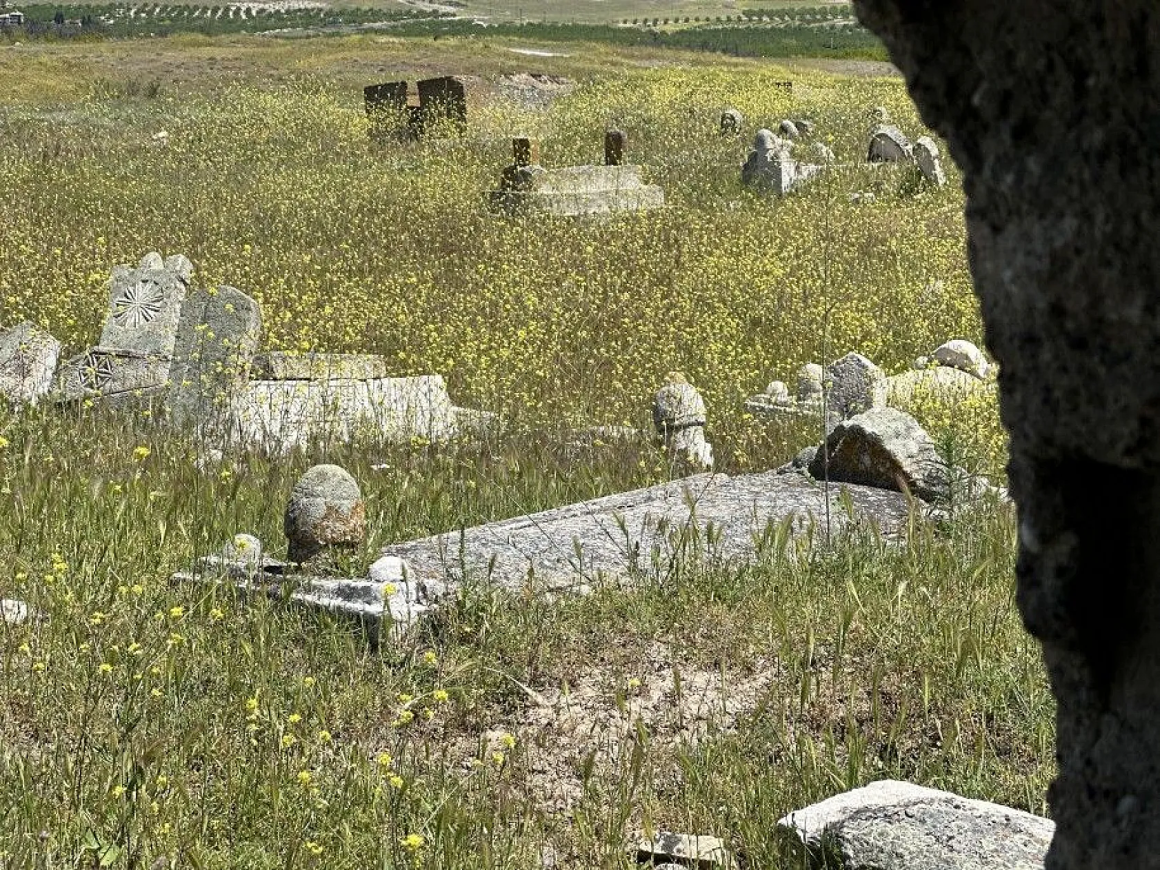 Tarih ve mirasın buluştuğu mezarlık