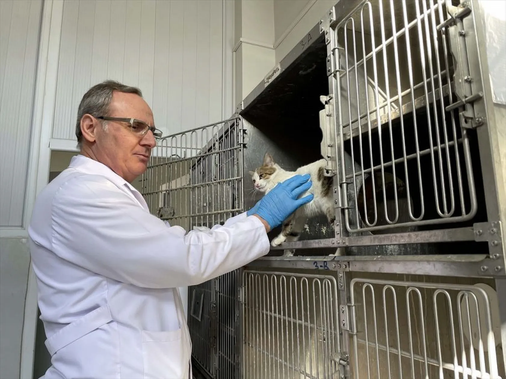 Depremde yaralanan 'can dostlar'ın tedavileri Elazığ'da yapılıyor