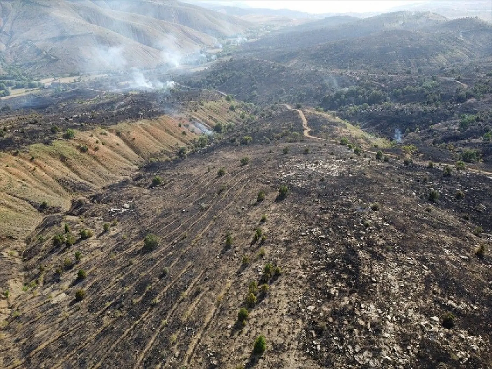 Elazığ'da yangın kontrol altına alındı