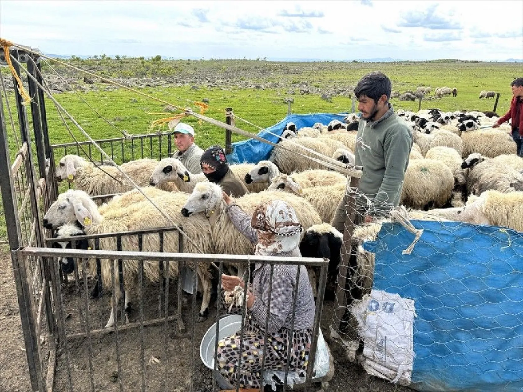 Göçer annelerin ömrü yolda ve çadırda geçiyor