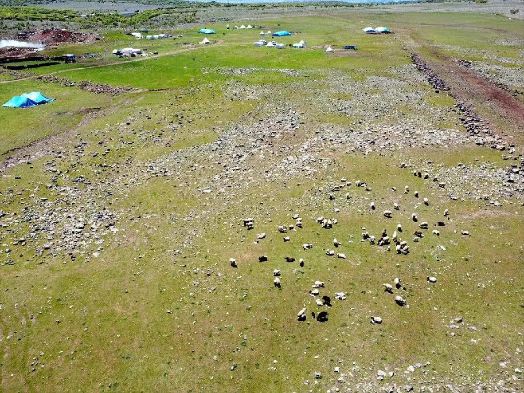 Göçer annelerin ömrü yolda ve çadırda geçiyor