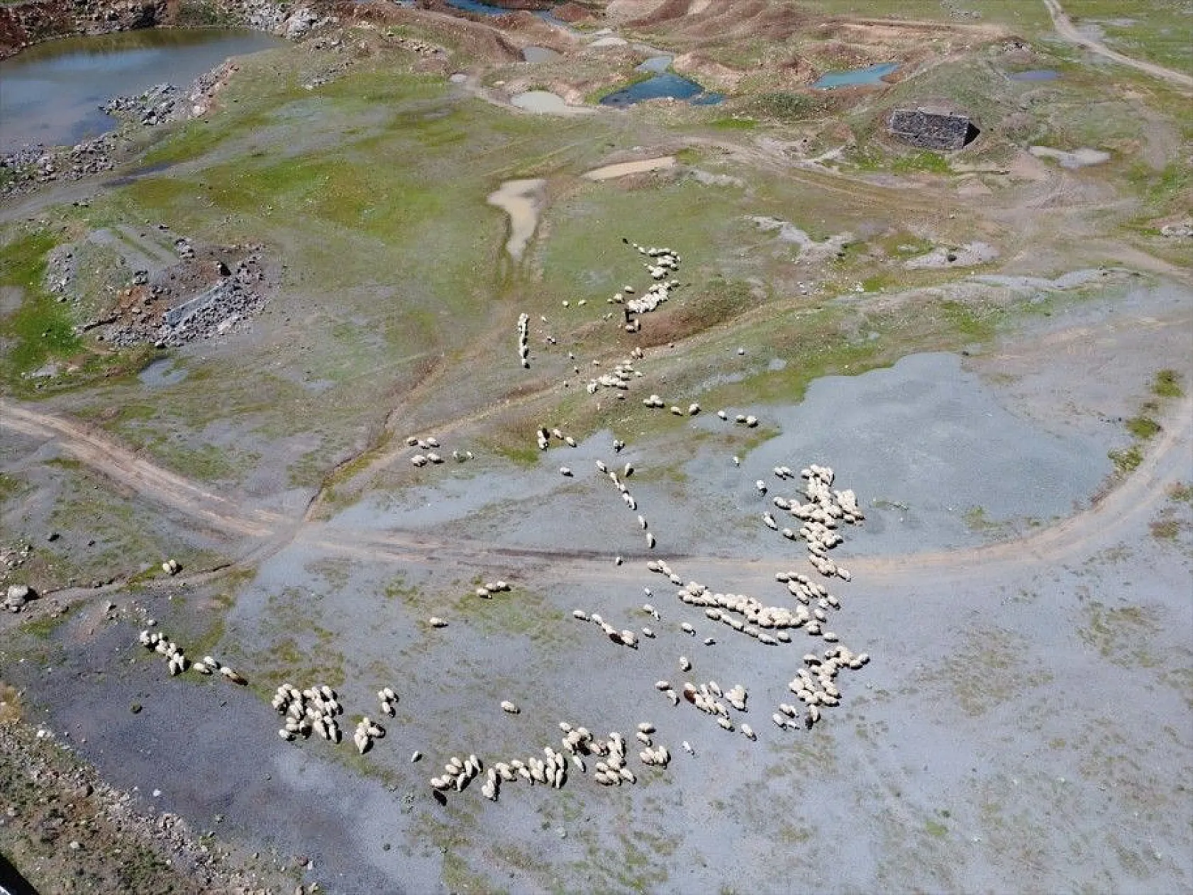 Göçer annelerin ömrü yolda ve çadırda geçiyor