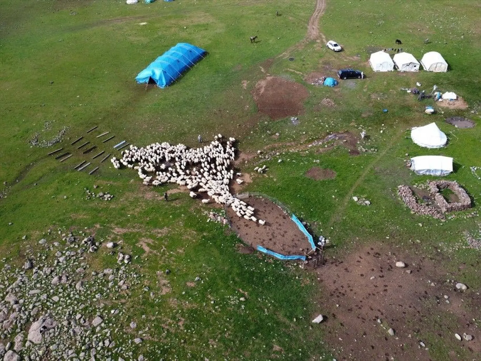 Göçer annelerin ömrü yolda ve çadırda geçiyor