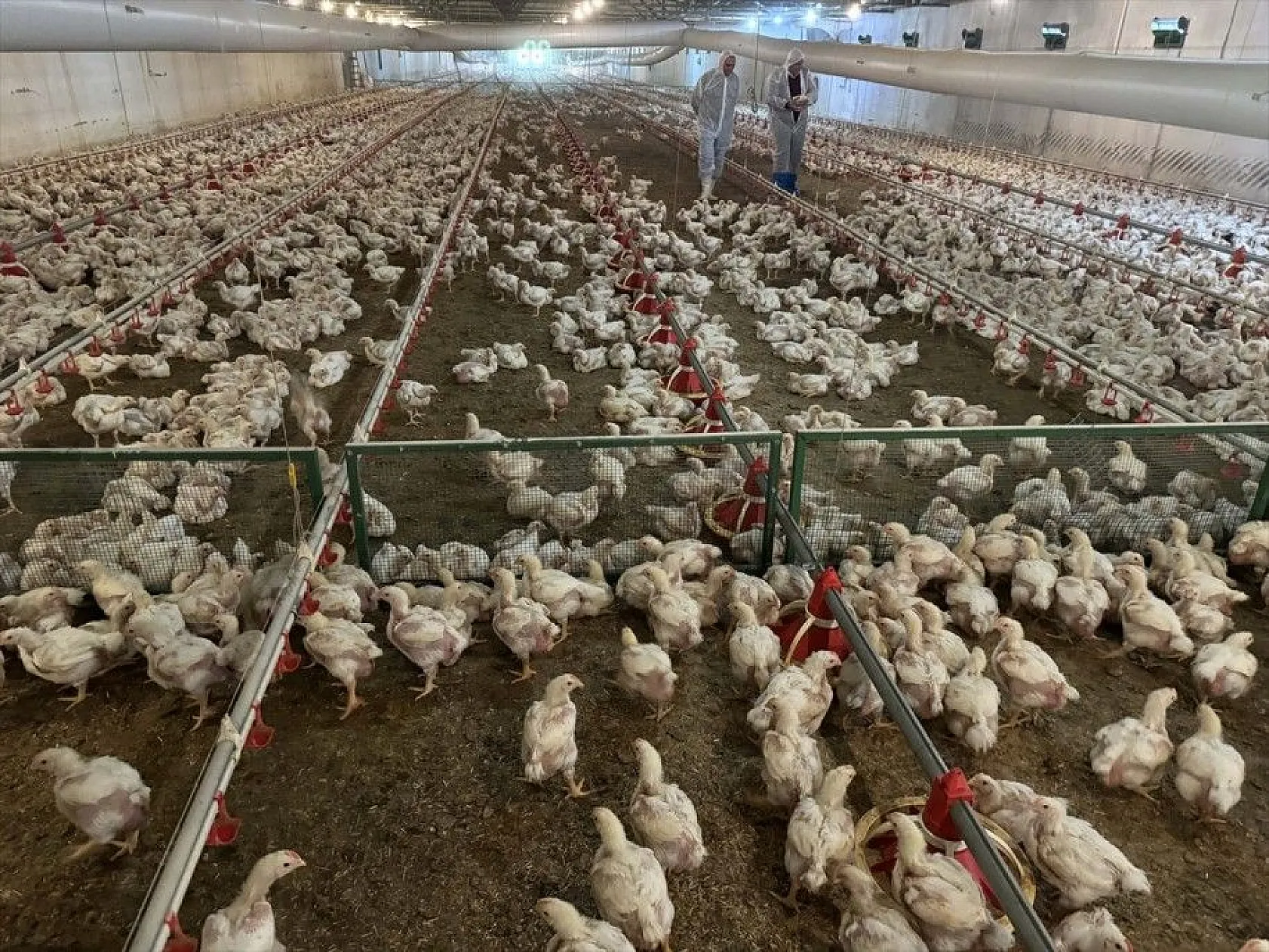 Gurbetten geldiği köyüne can verdi