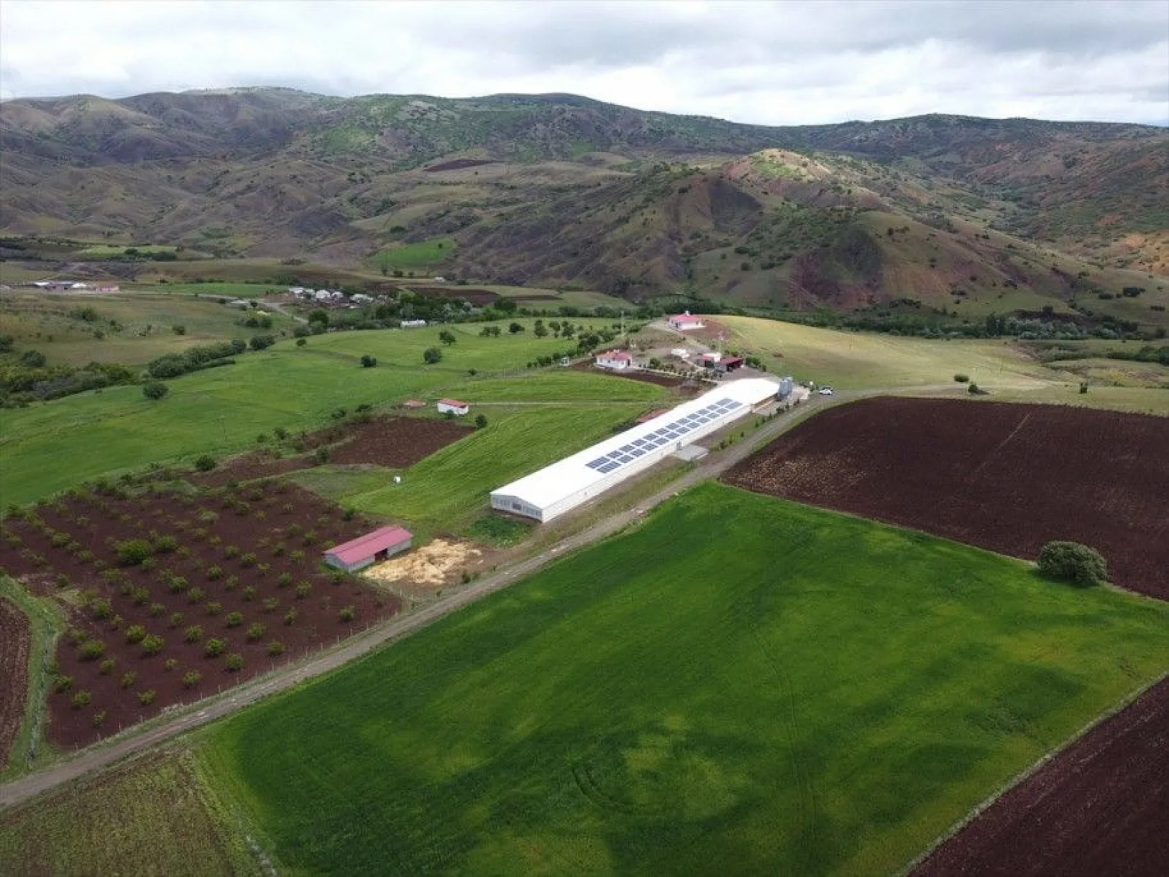 Gurbetten geldiği köyüne can verdi