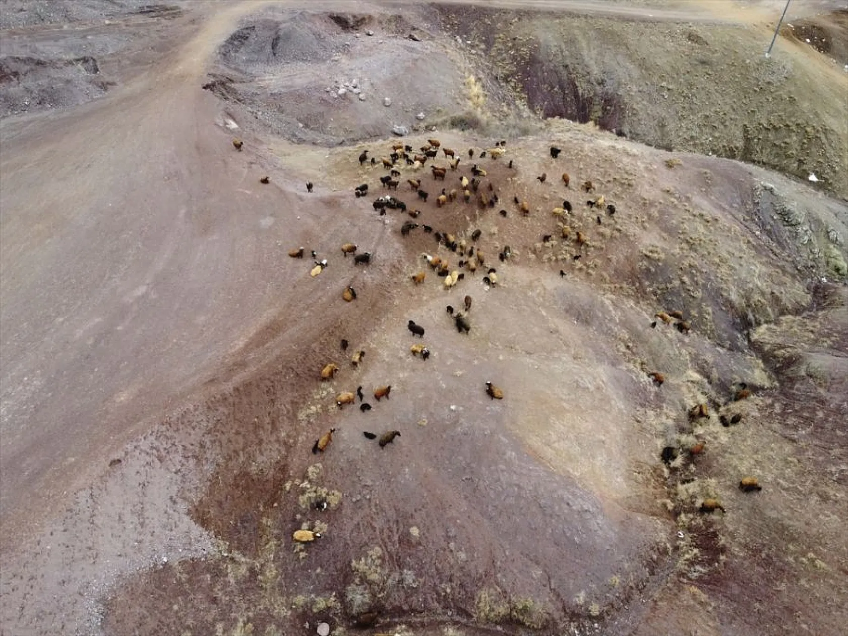 Onlarca yıllık çadır çilesi biten göçerler konteynerlere yerleşiyor